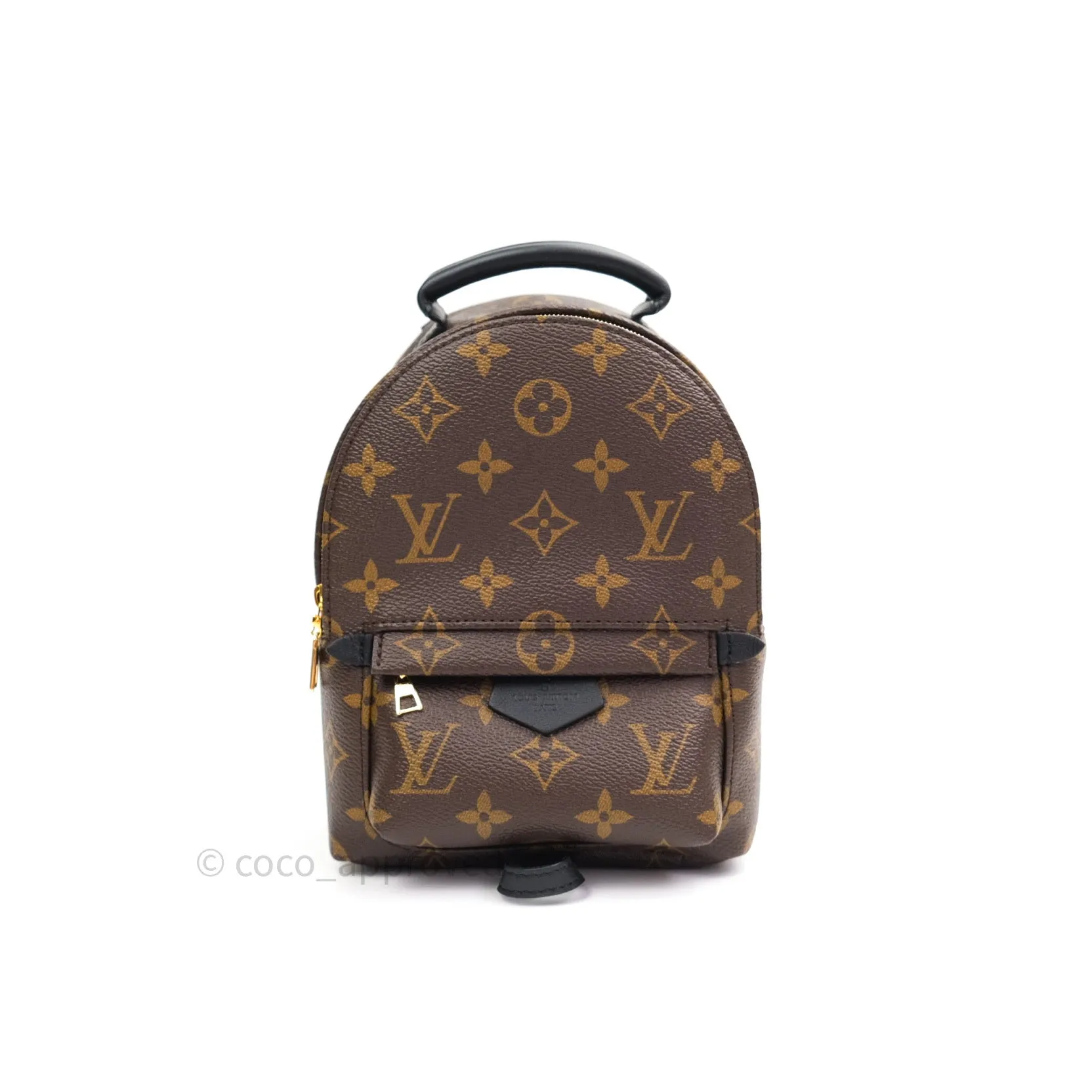 Louis Vuitton Monogram Mini Palm Springs Backpack