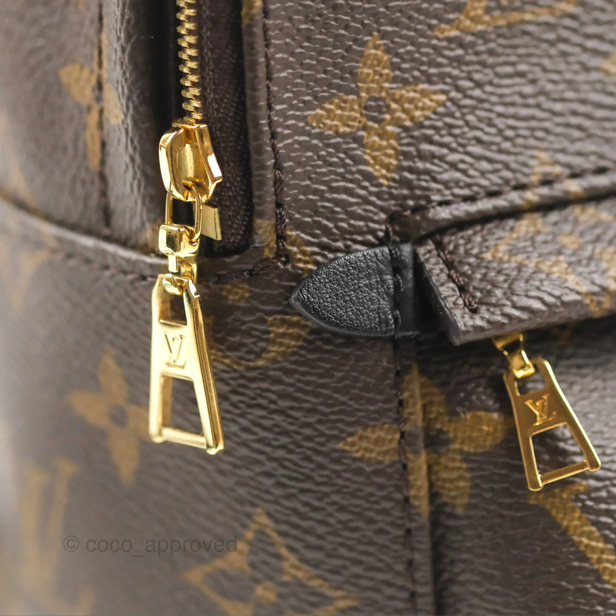 Louis Vuitton Monogram Mini Palm Springs Backpack