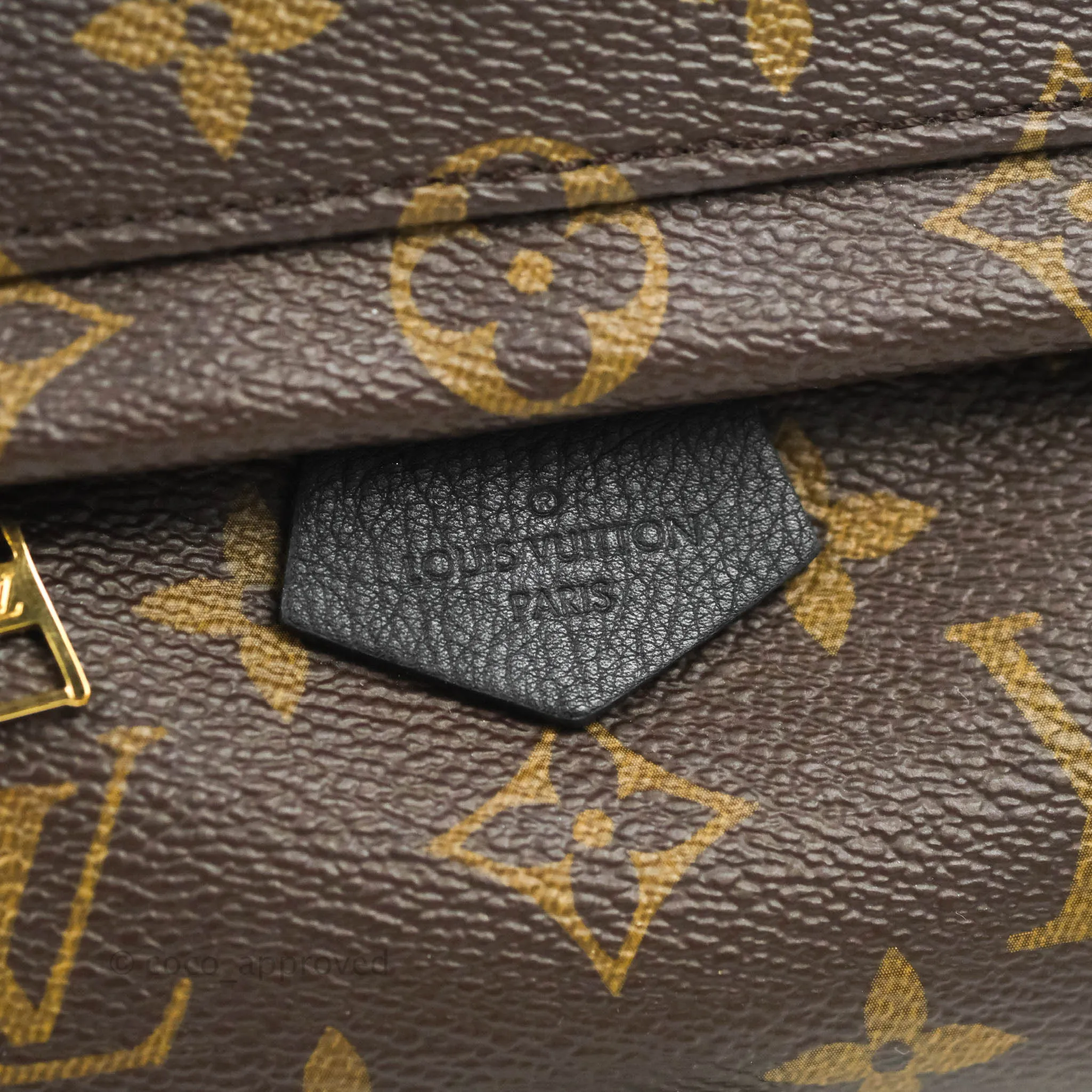 Louis Vuitton Monogram Mini Palm Springs Backpack