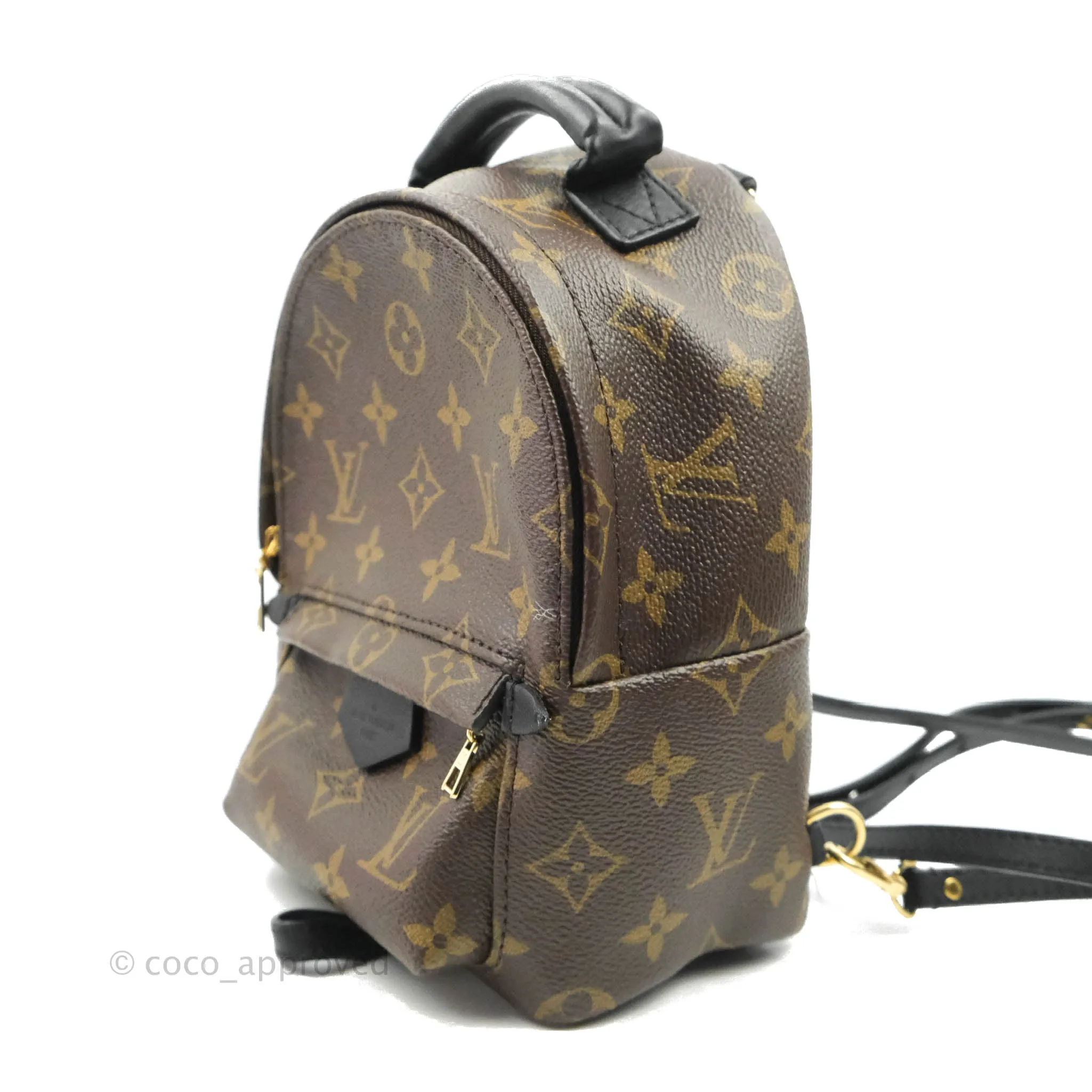 Louis Vuitton Monogram Mini Palm Springs Backpack