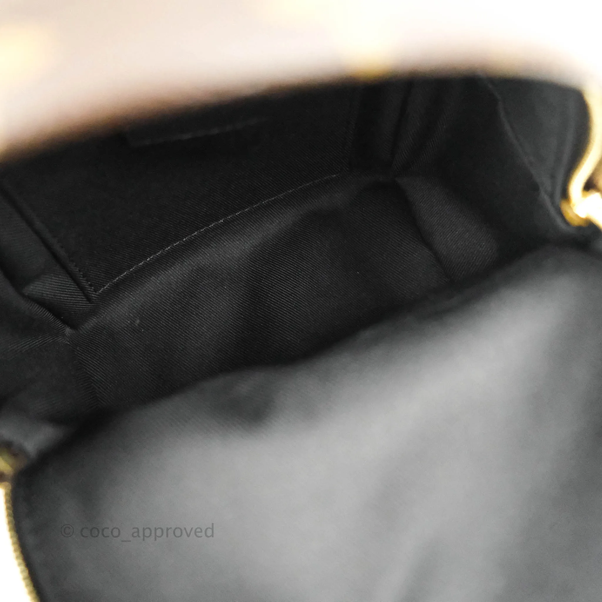 Louis Vuitton Monogram Mini Palm Springs Backpack