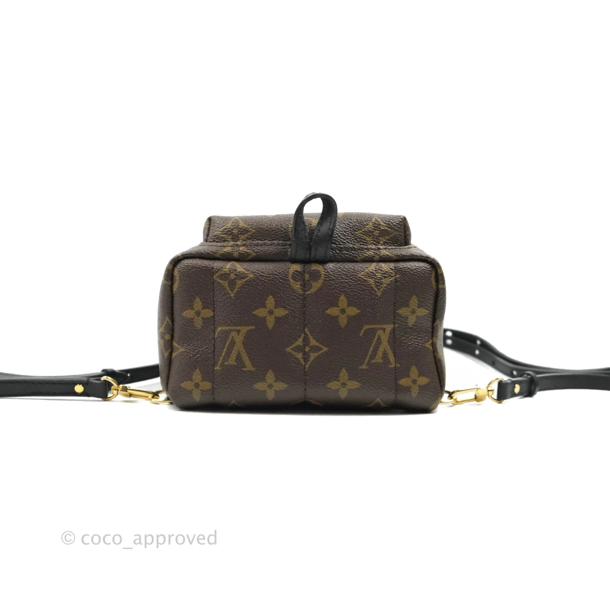 Louis Vuitton Monogram Mini Palm Springs Backpack