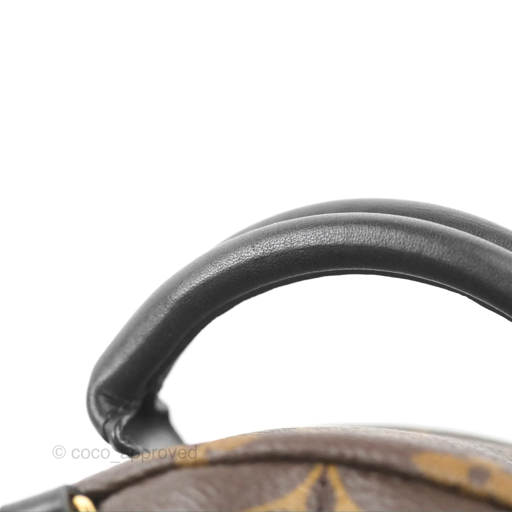 Louis Vuitton Monogram Mini Palm Springs Backpack