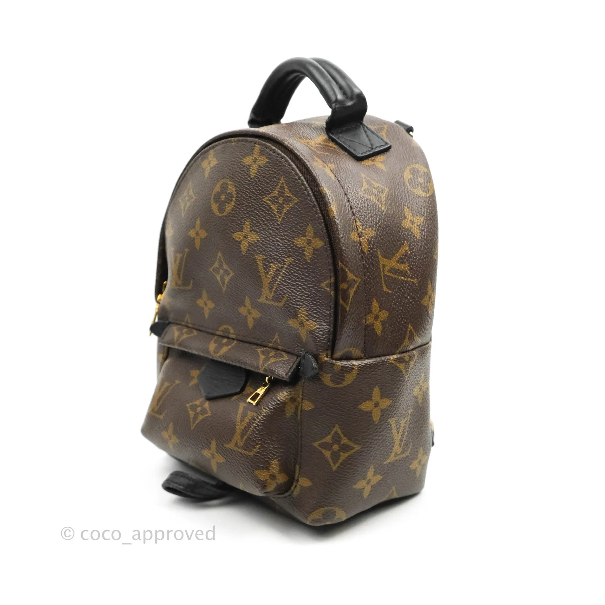 Louis Vuitton Monogram Mini Palm Springs Backpack