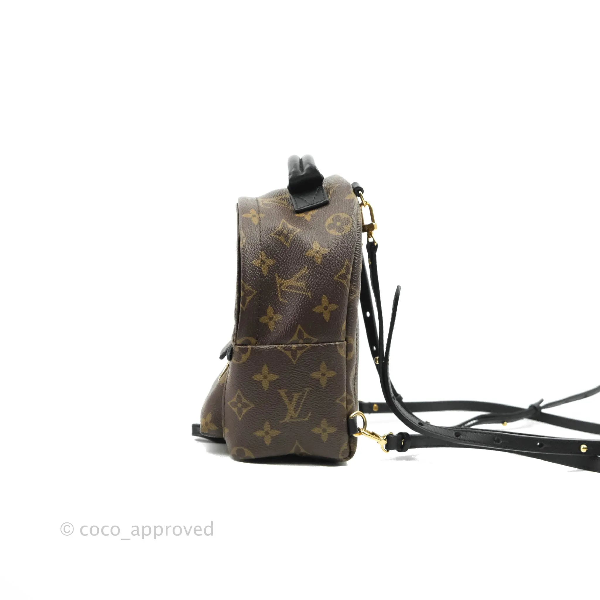 Louis Vuitton Monogram Mini Palm Springs Backpack
