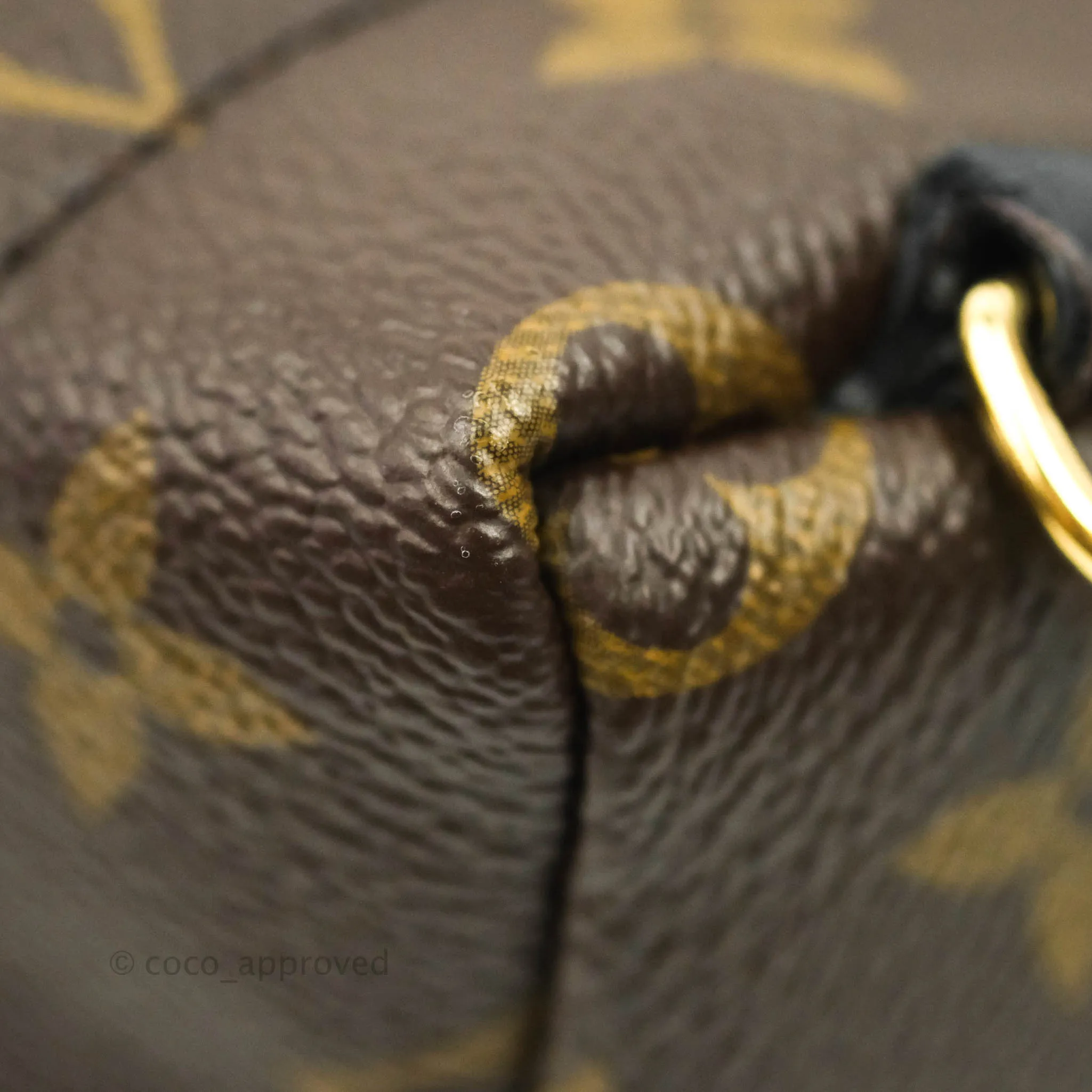 Louis Vuitton Monogram Mini Palm Springs Backpack