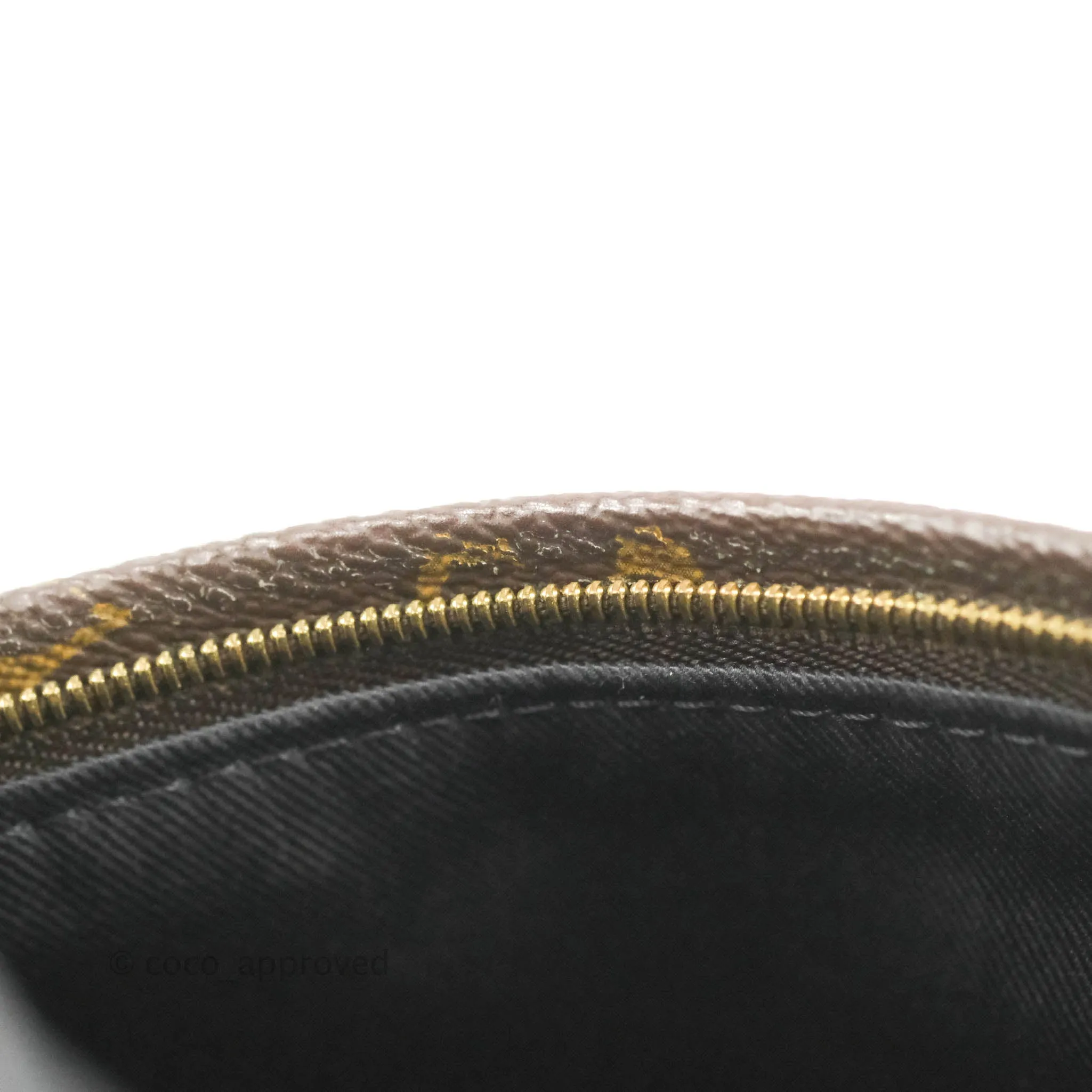 Louis Vuitton Monogram Mini Palm Springs Backpack