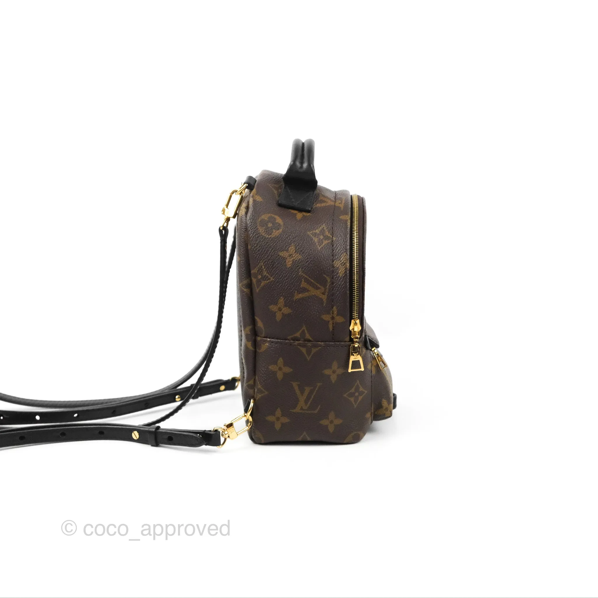 Louis Vuitton Monogram Mini Palm Springs Backpack