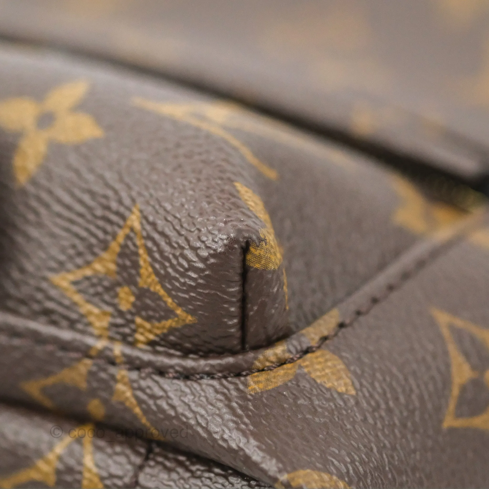Louis Vuitton Monogram Mini Palm Springs Backpack