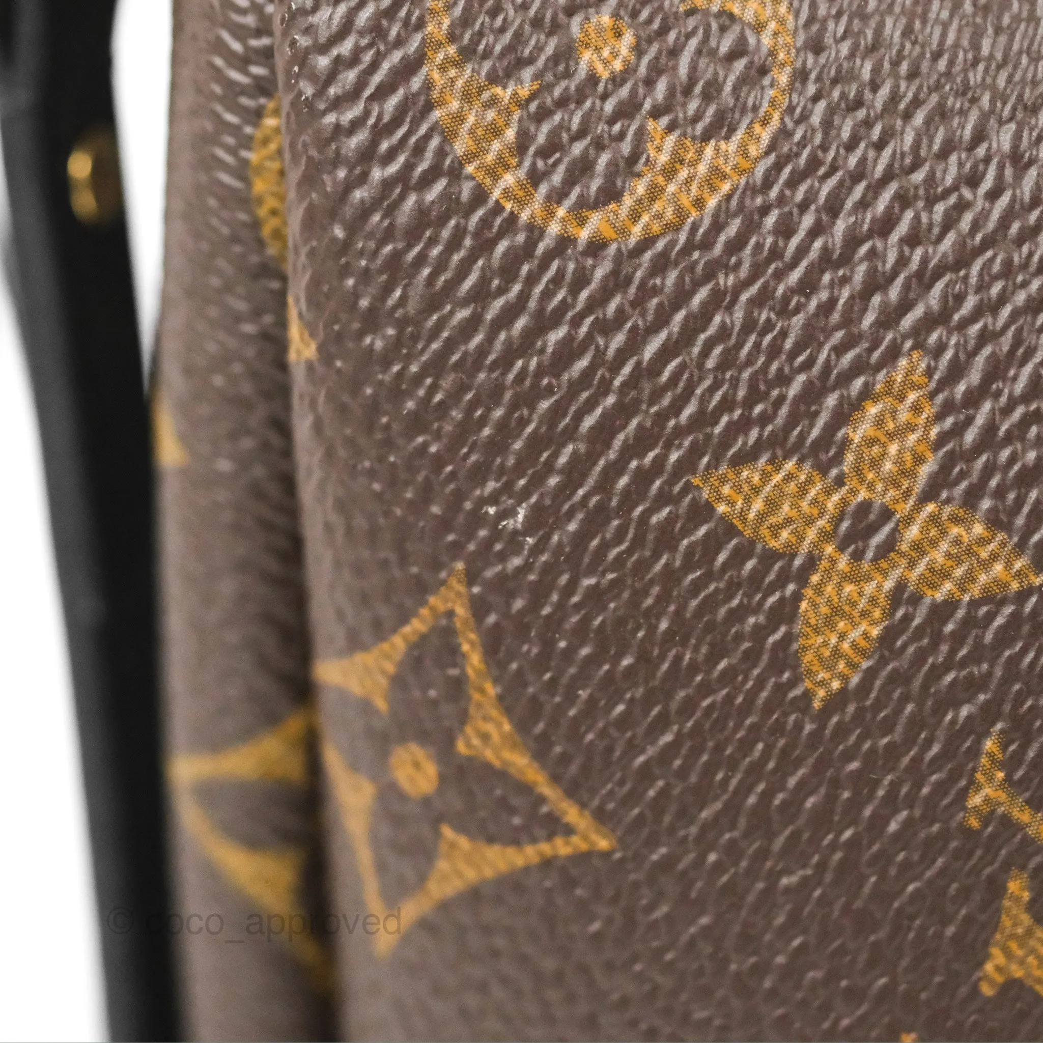 Louis Vuitton Monogram Mini Palm Springs Backpack