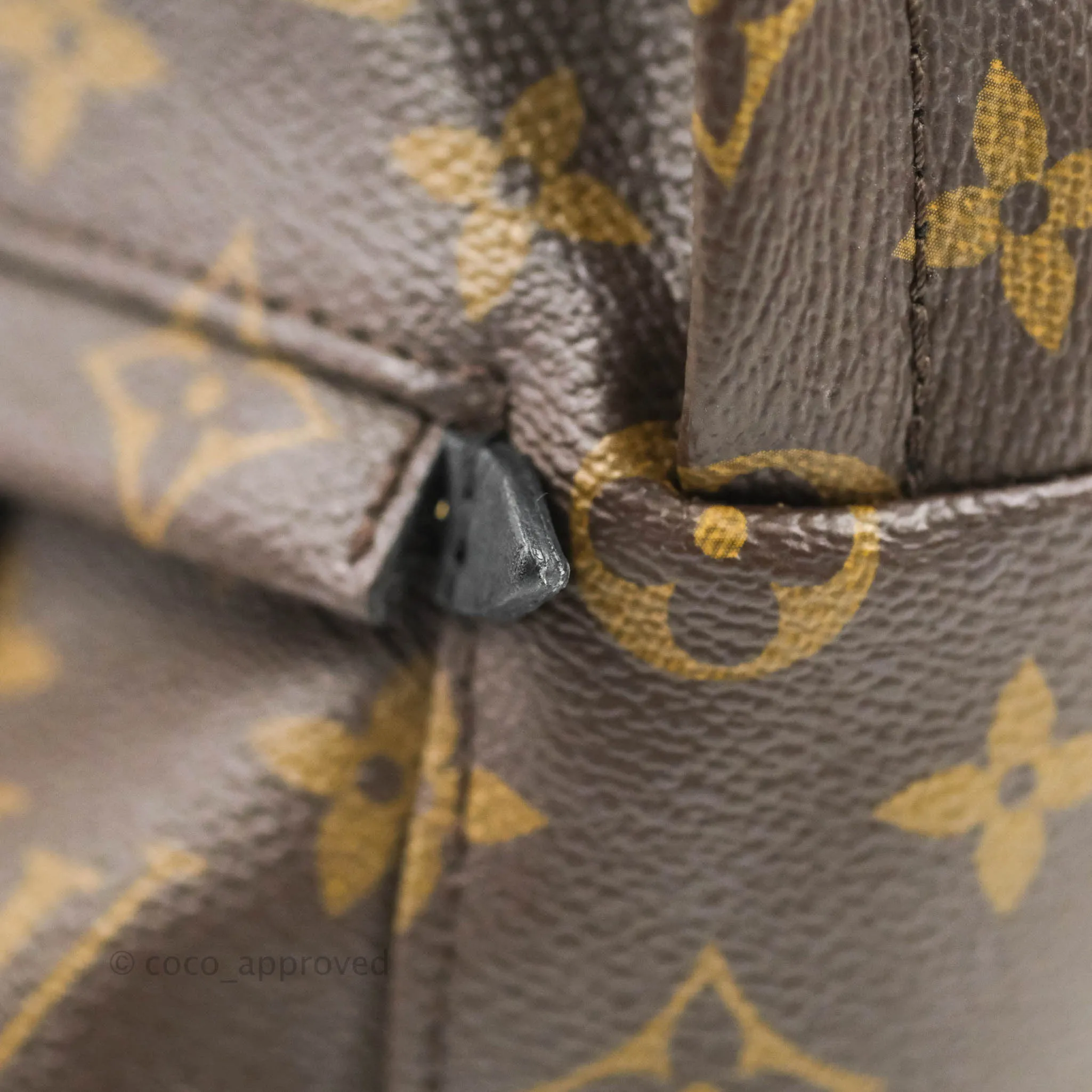 Louis Vuitton Monogram Mini Palm Springs Backpack