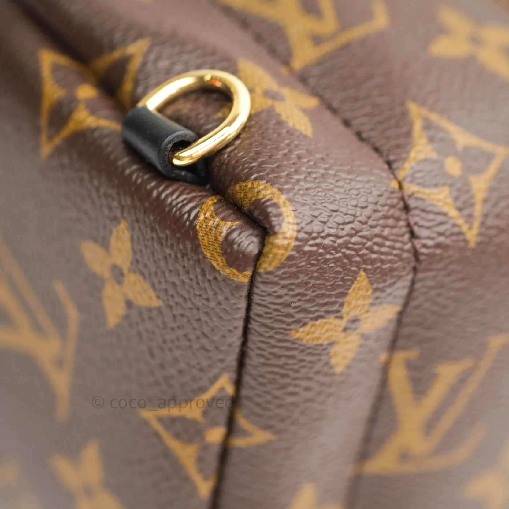 Louis Vuitton Monogram Mini Palm Springs Backpack