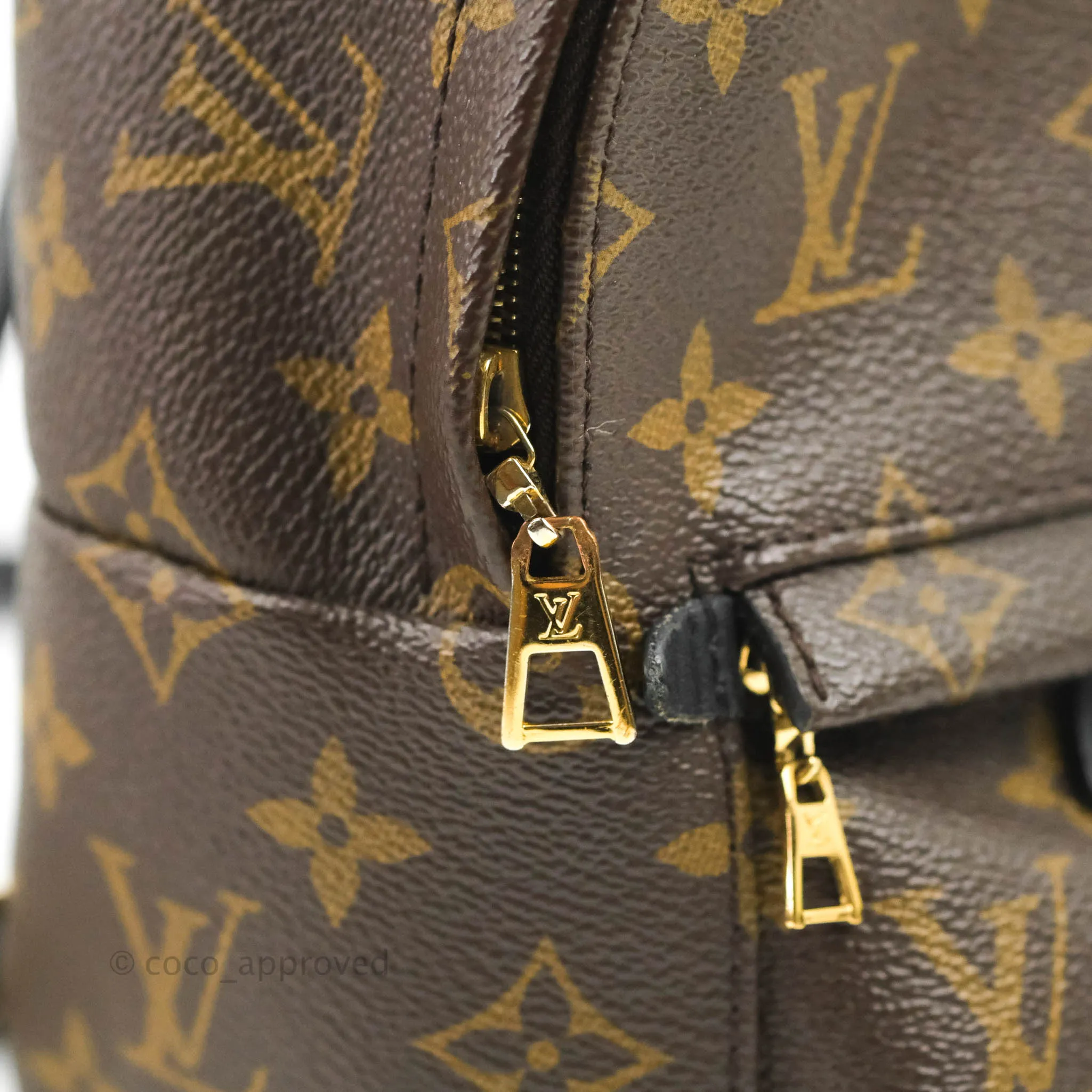 Louis Vuitton Monogram Mini Palm Springs Backpack