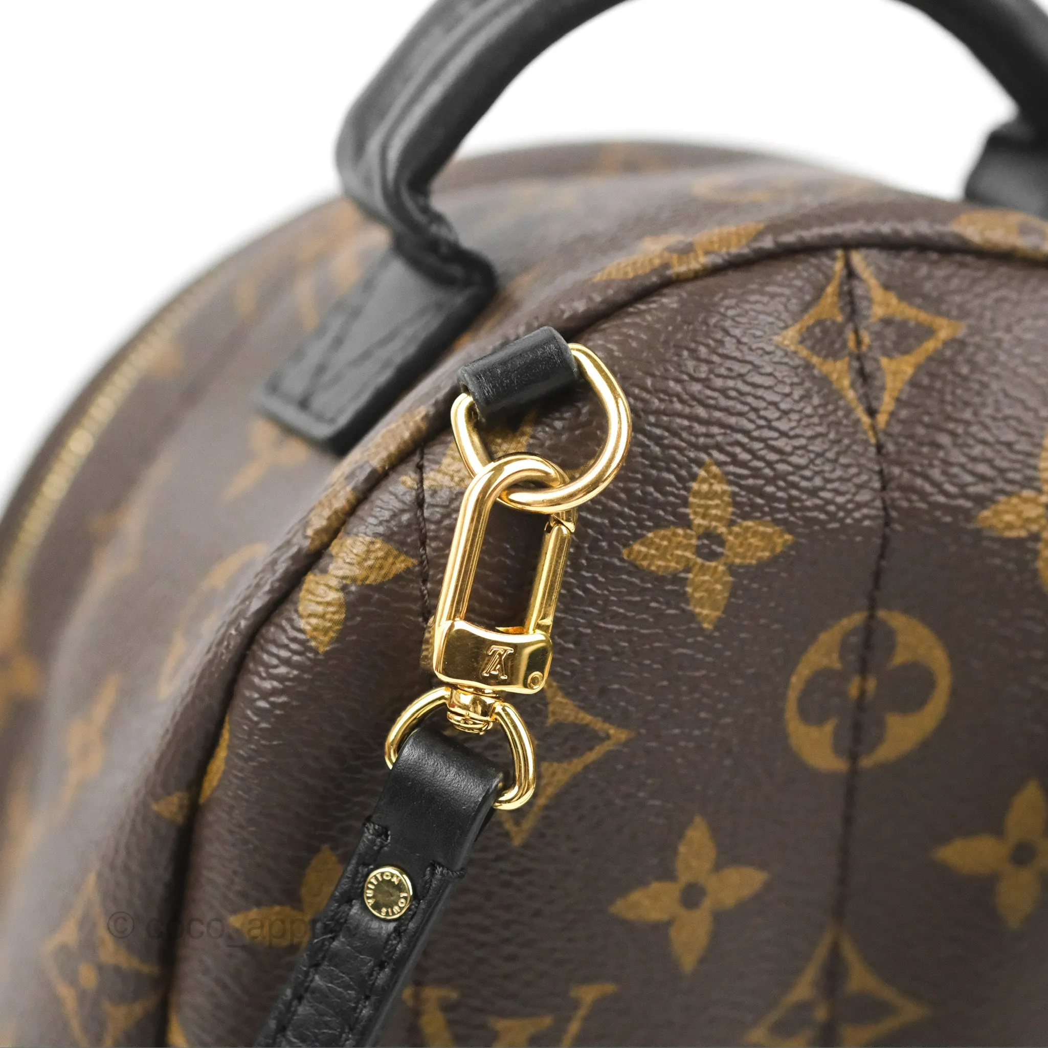 Louis Vuitton Monogram Mini Palm Springs Backpack