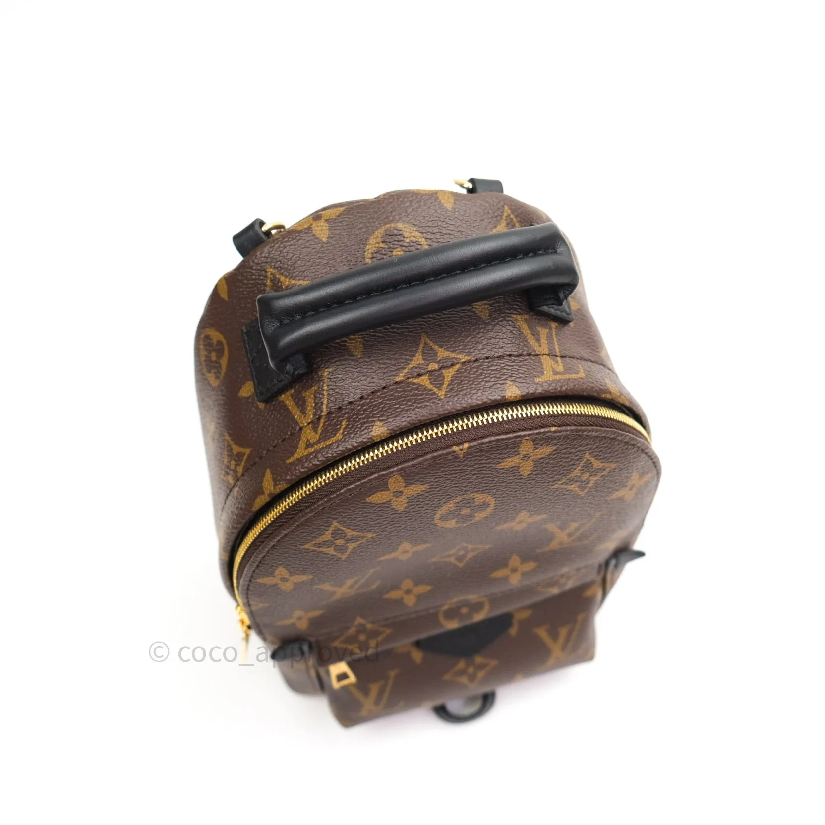 Louis Vuitton Monogram Mini Palm Springs Backpack