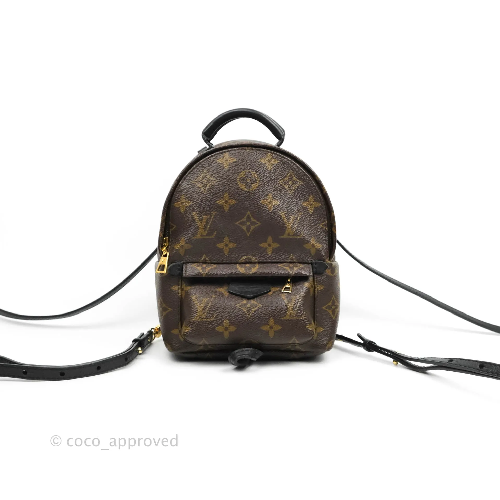 Louis Vuitton Monogram Mini Palm Springs Backpack