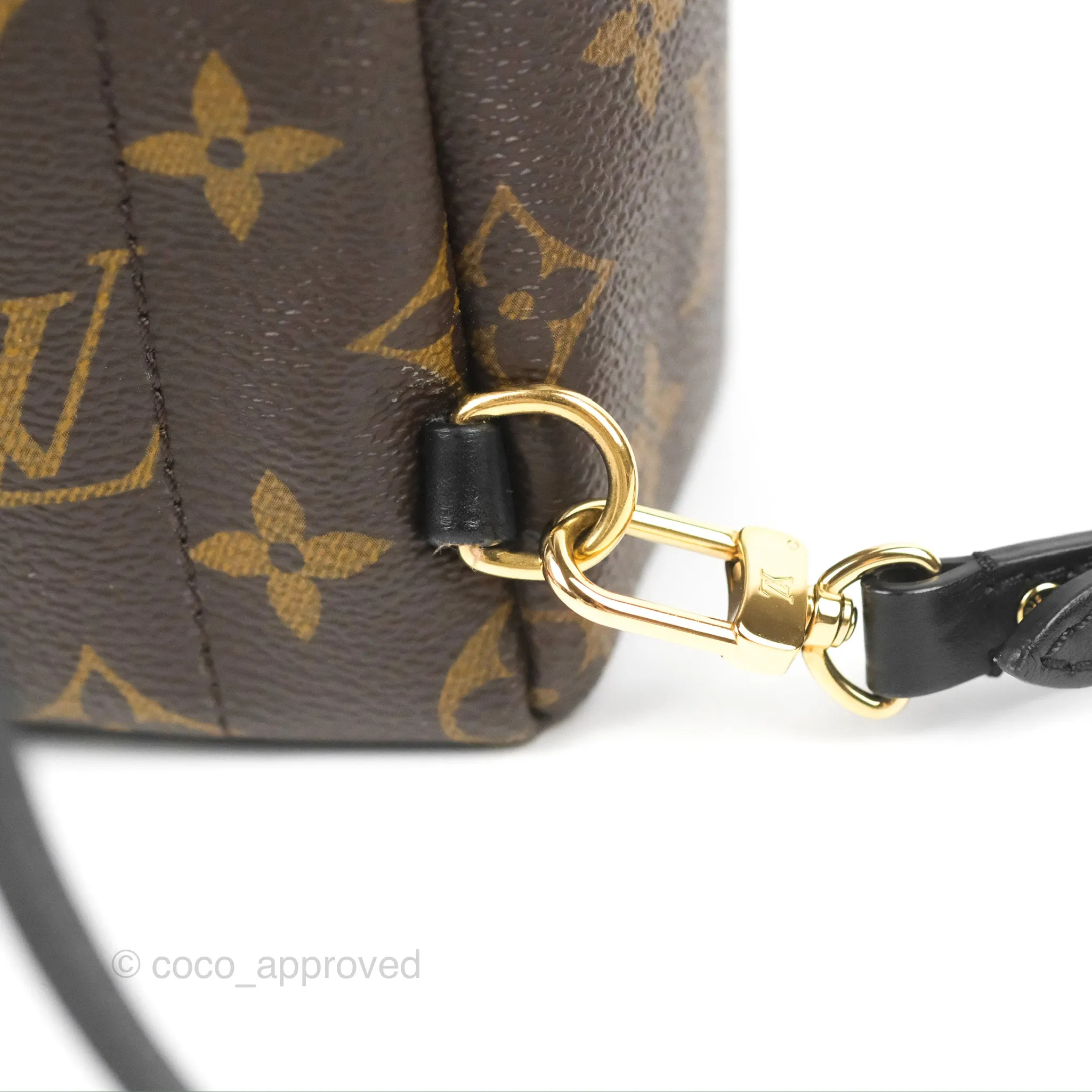 Louis Vuitton Monogram Mini Palm Springs Backpack
