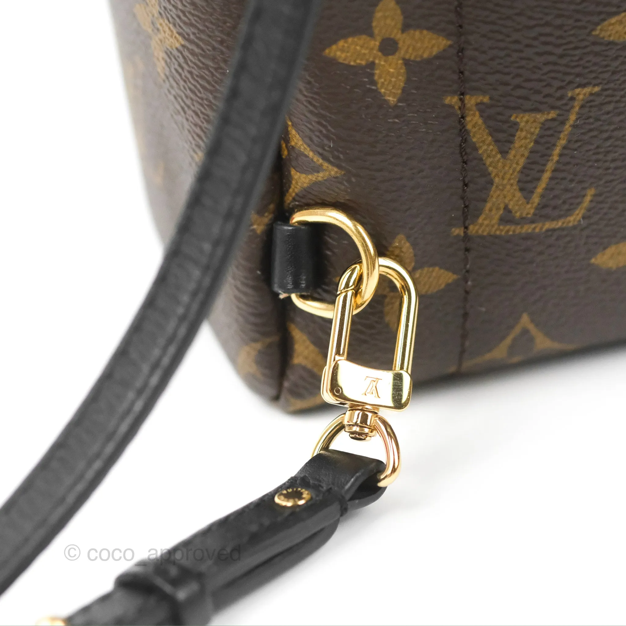 Louis Vuitton Monogram Mini Palm Springs Backpack