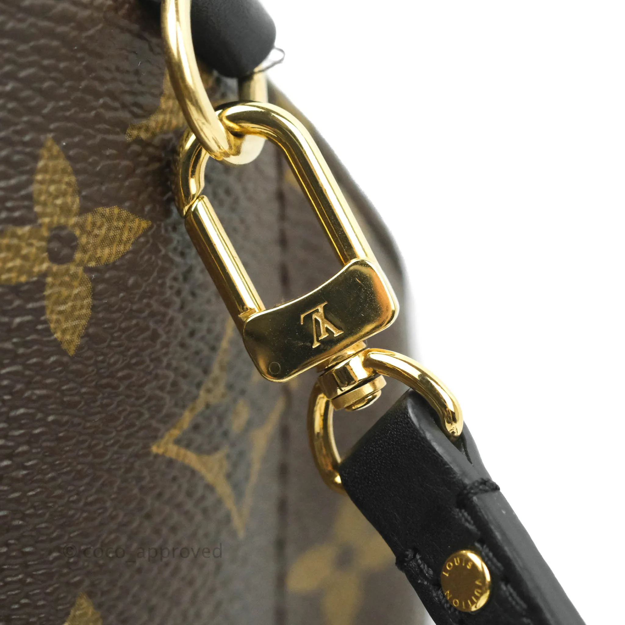 Louis Vuitton Monogram Mini Palm Springs Backpack