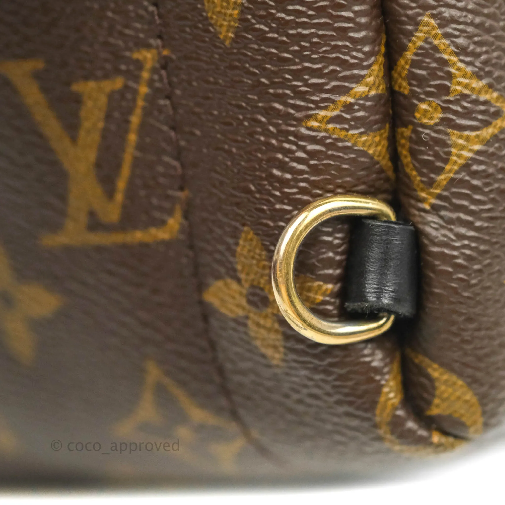 Louis Vuitton Monogram Mini Palm Springs Backpack