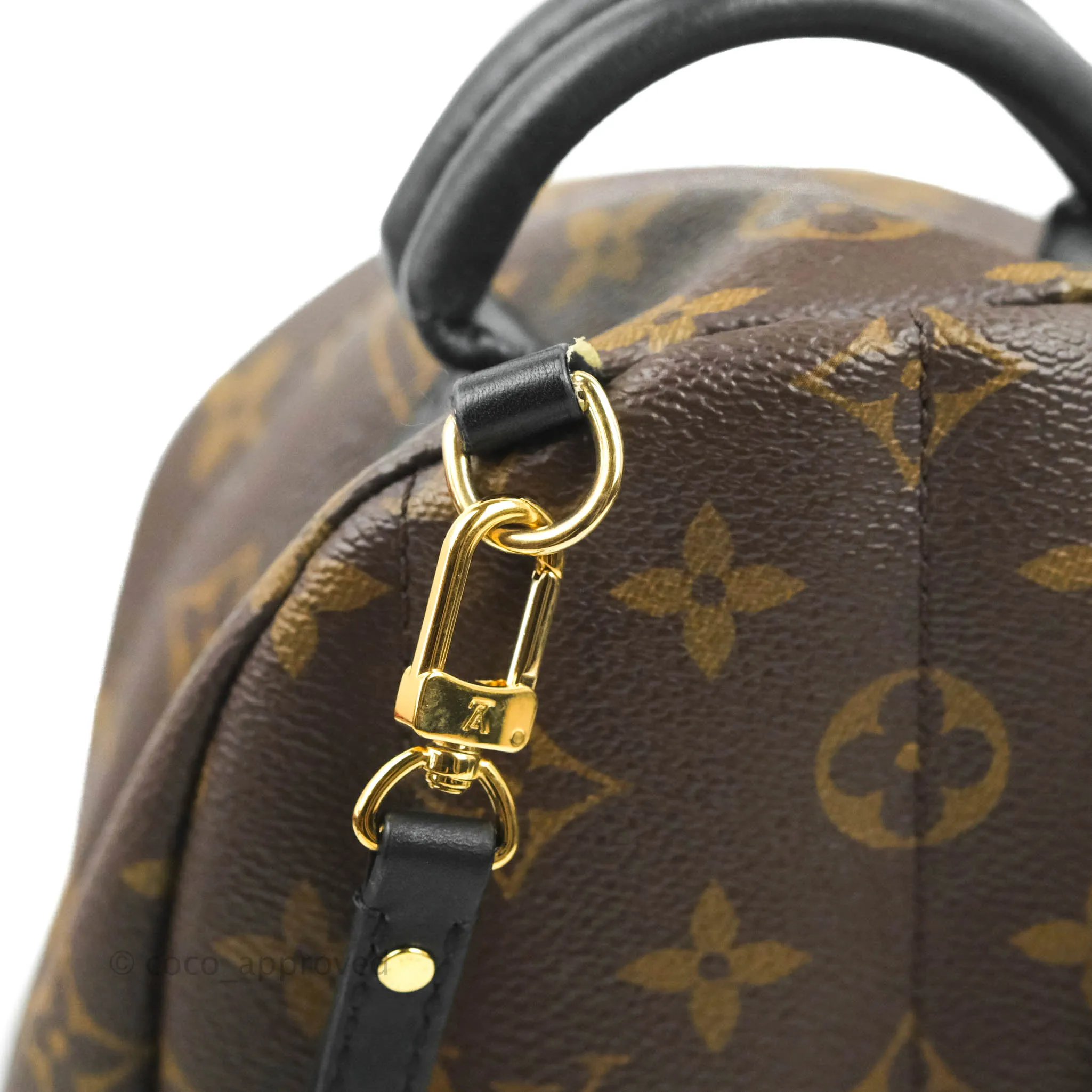 Louis Vuitton Monogram Mini Palm Springs Backpack