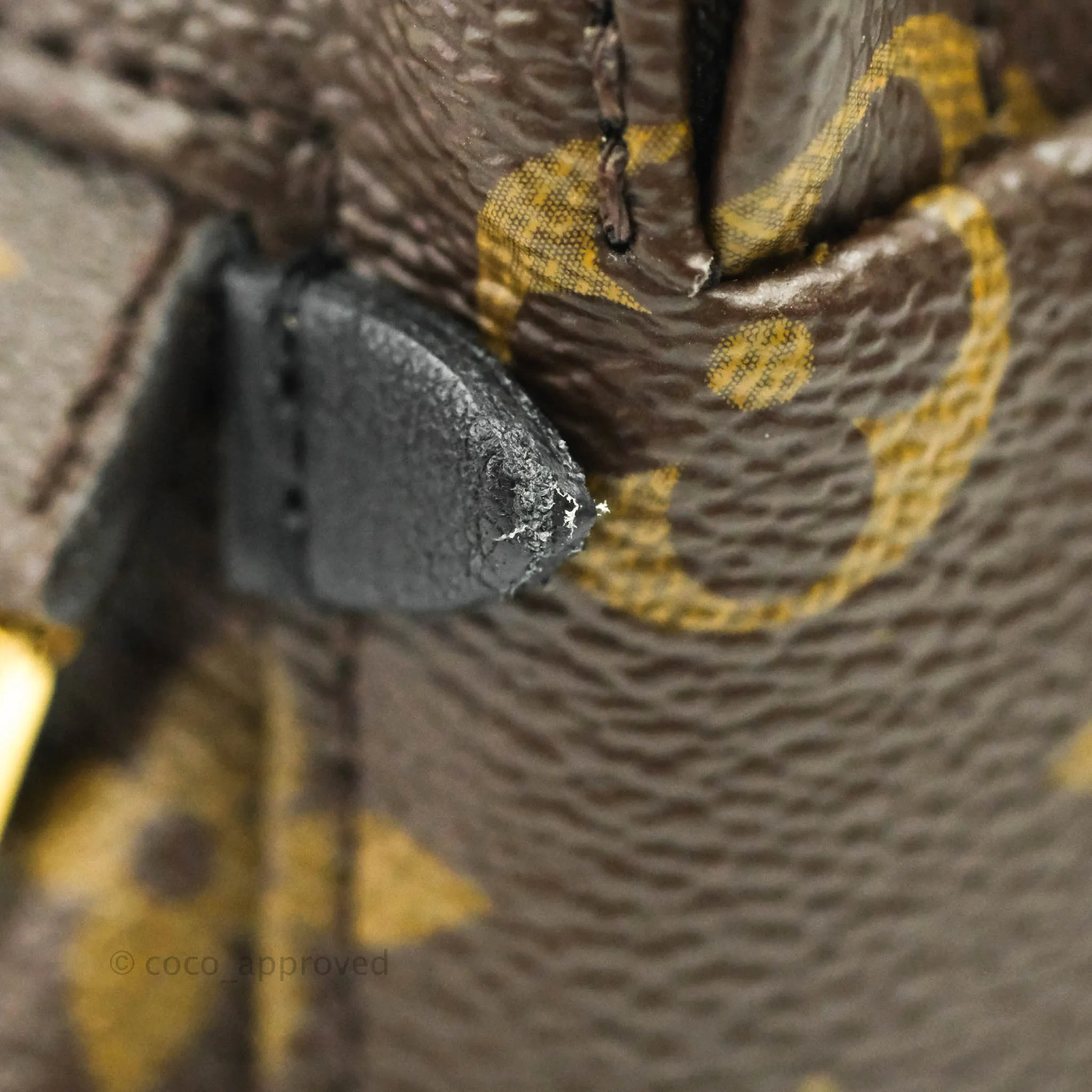 Louis Vuitton Monogram Mini Palm Springs Backpack