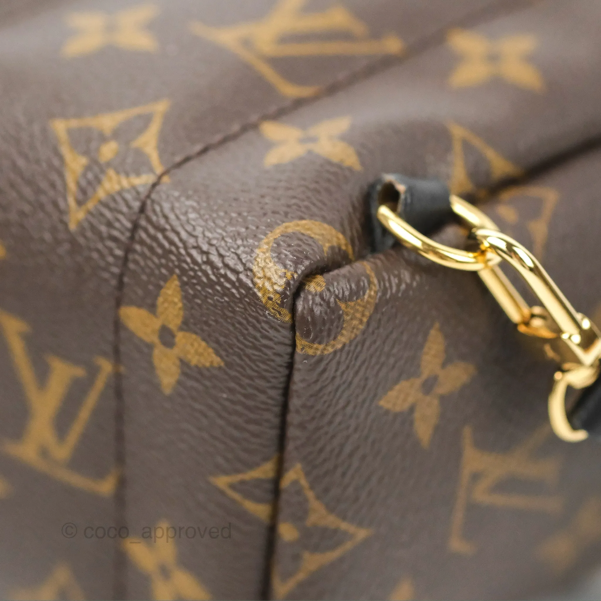 Louis Vuitton Monogram Mini Palm Springs Backpack