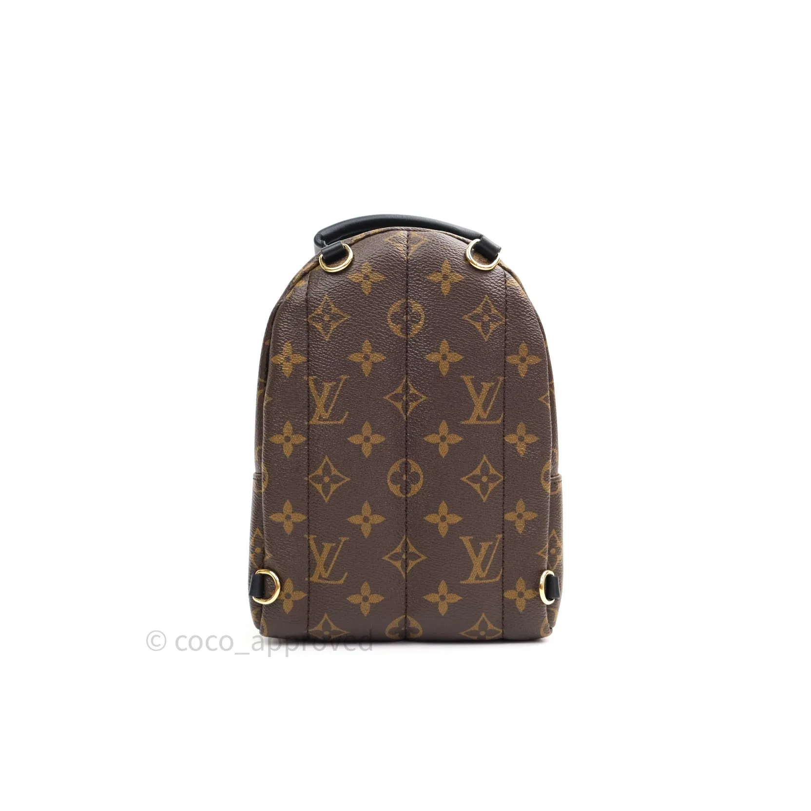 Louis Vuitton Monogram Mini Palm Springs Backpack