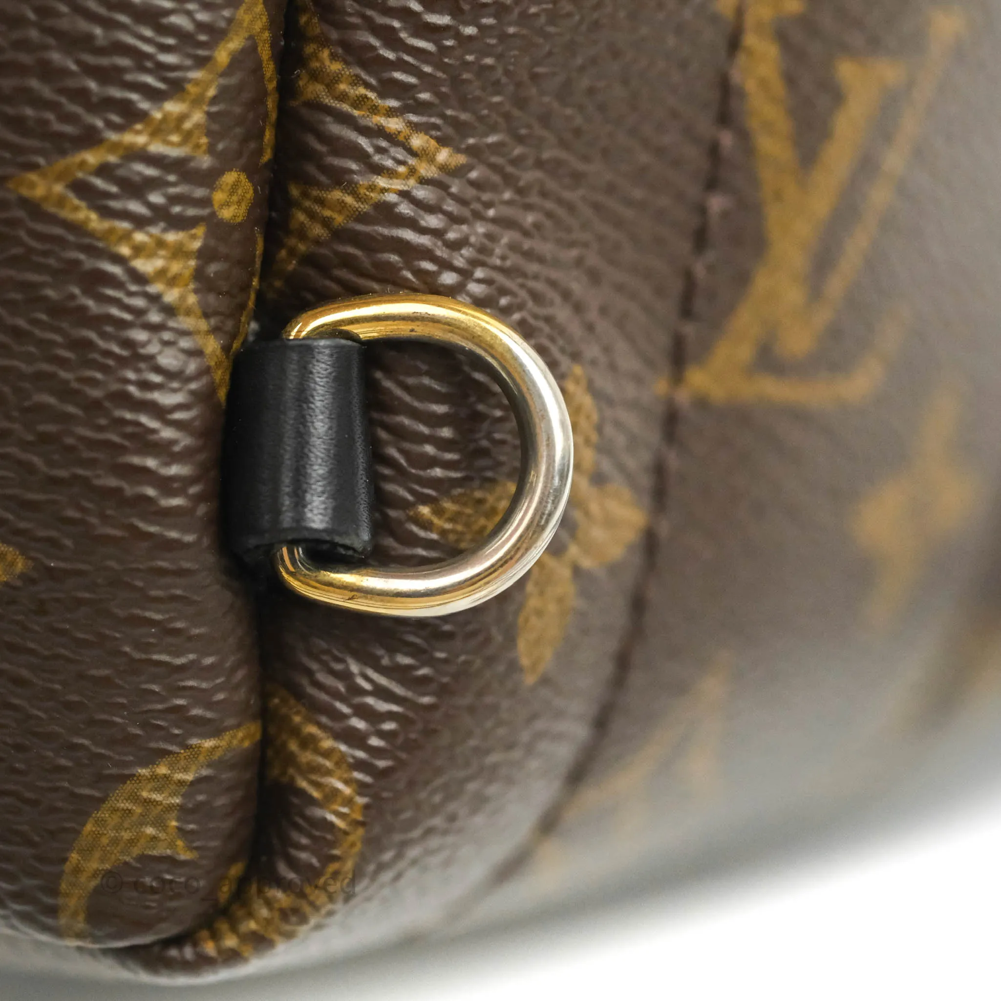 Louis Vuitton Monogram Mini Palm Springs Backpack