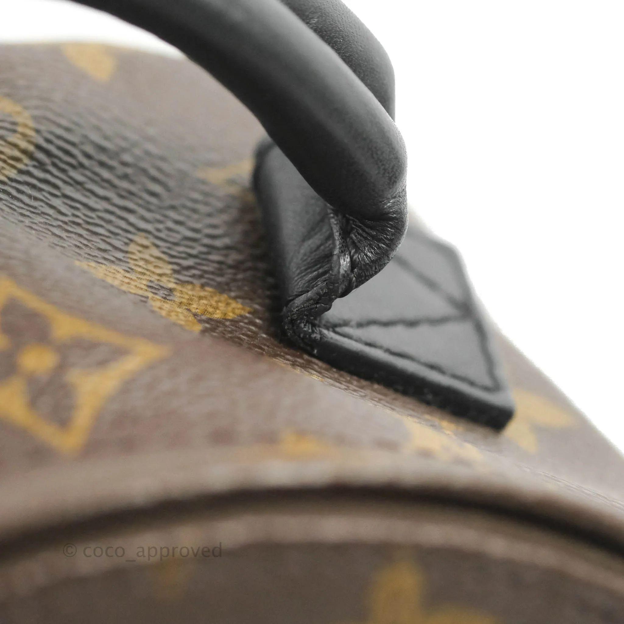 Louis Vuitton Monogram Mini Palm Springs Backpack