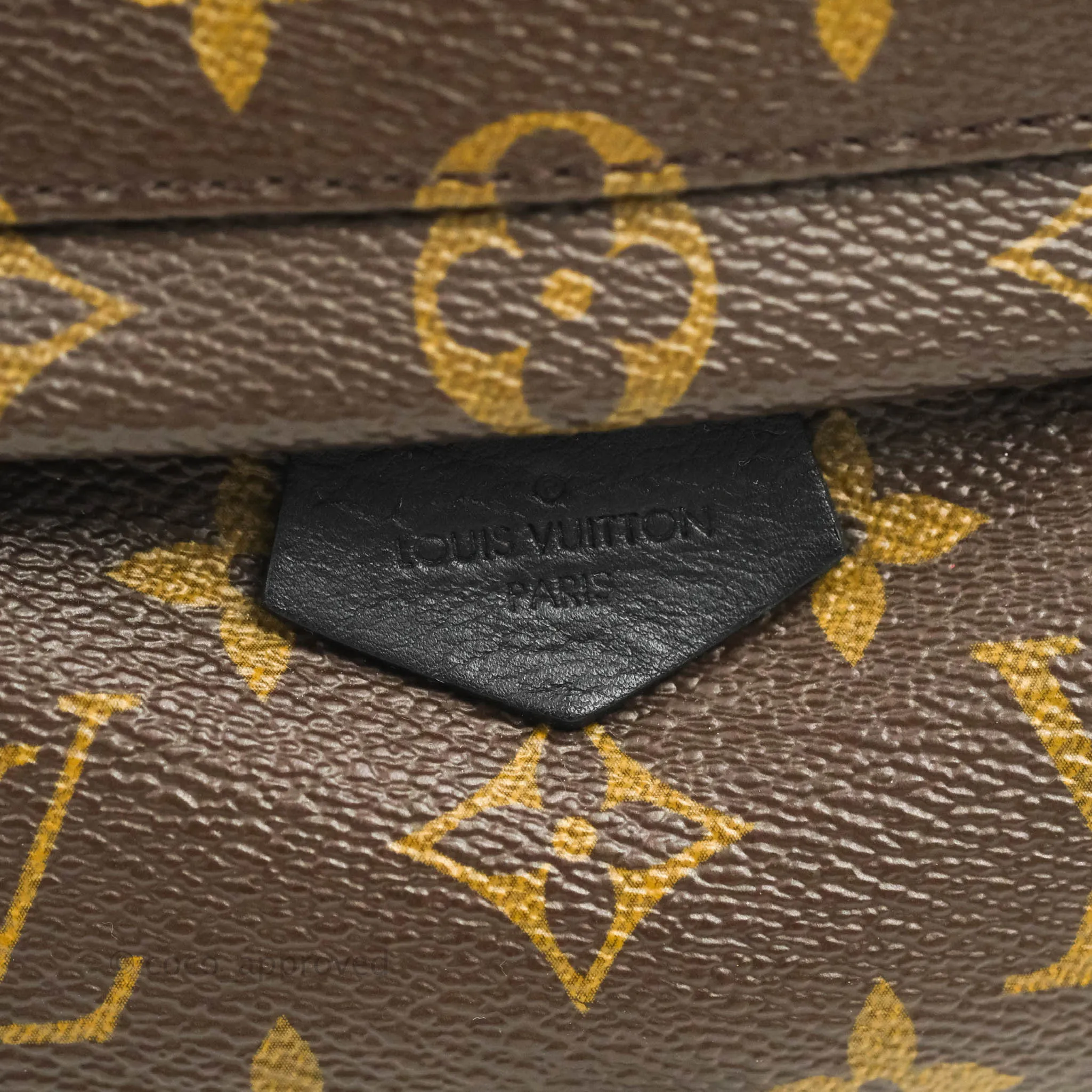 Louis Vuitton Monogram Mini Palm Springs Backpack