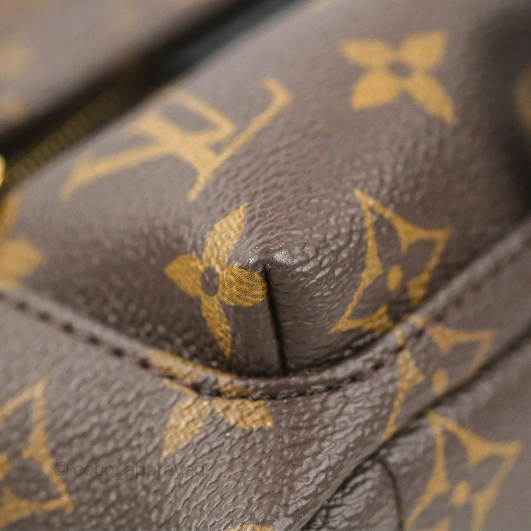Louis Vuitton Monogram Mini Palm Springs Backpack
