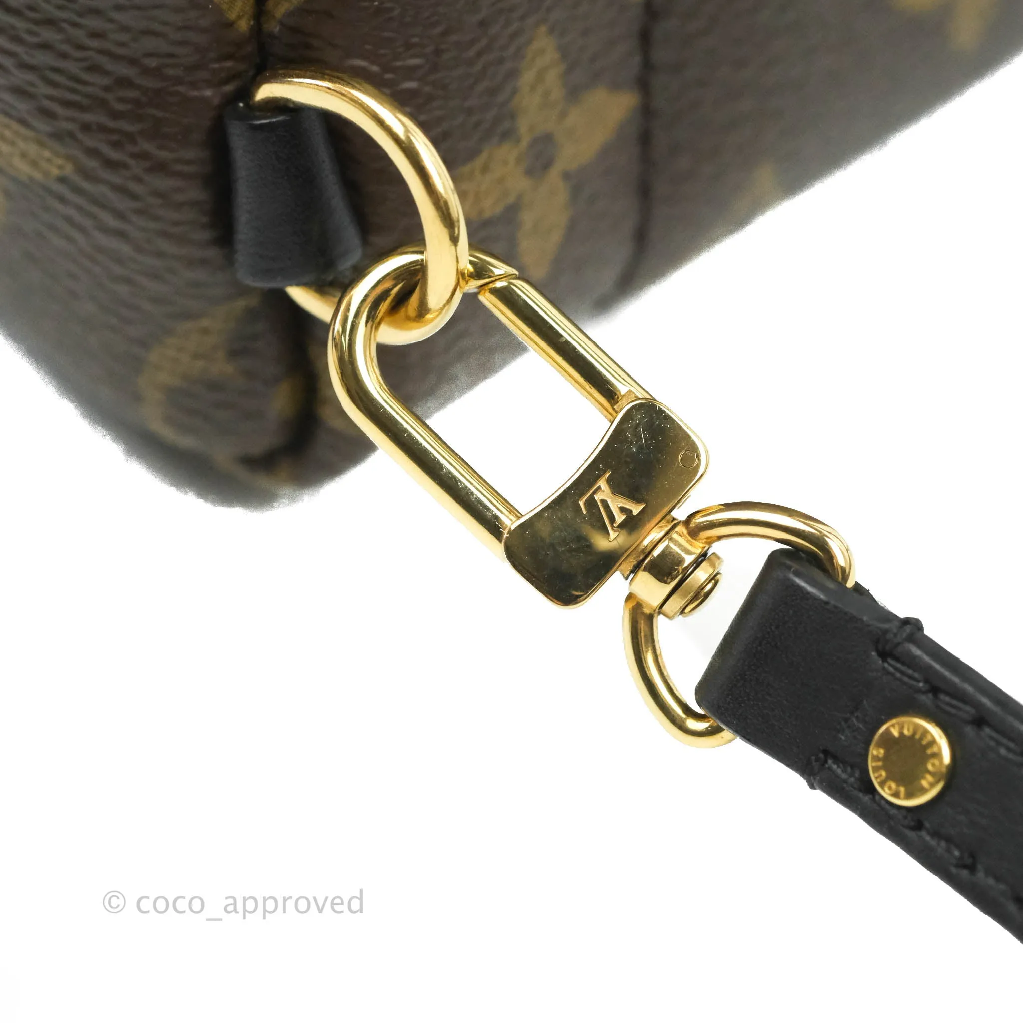 Louis Vuitton Monogram Mini Palm Springs Backpack