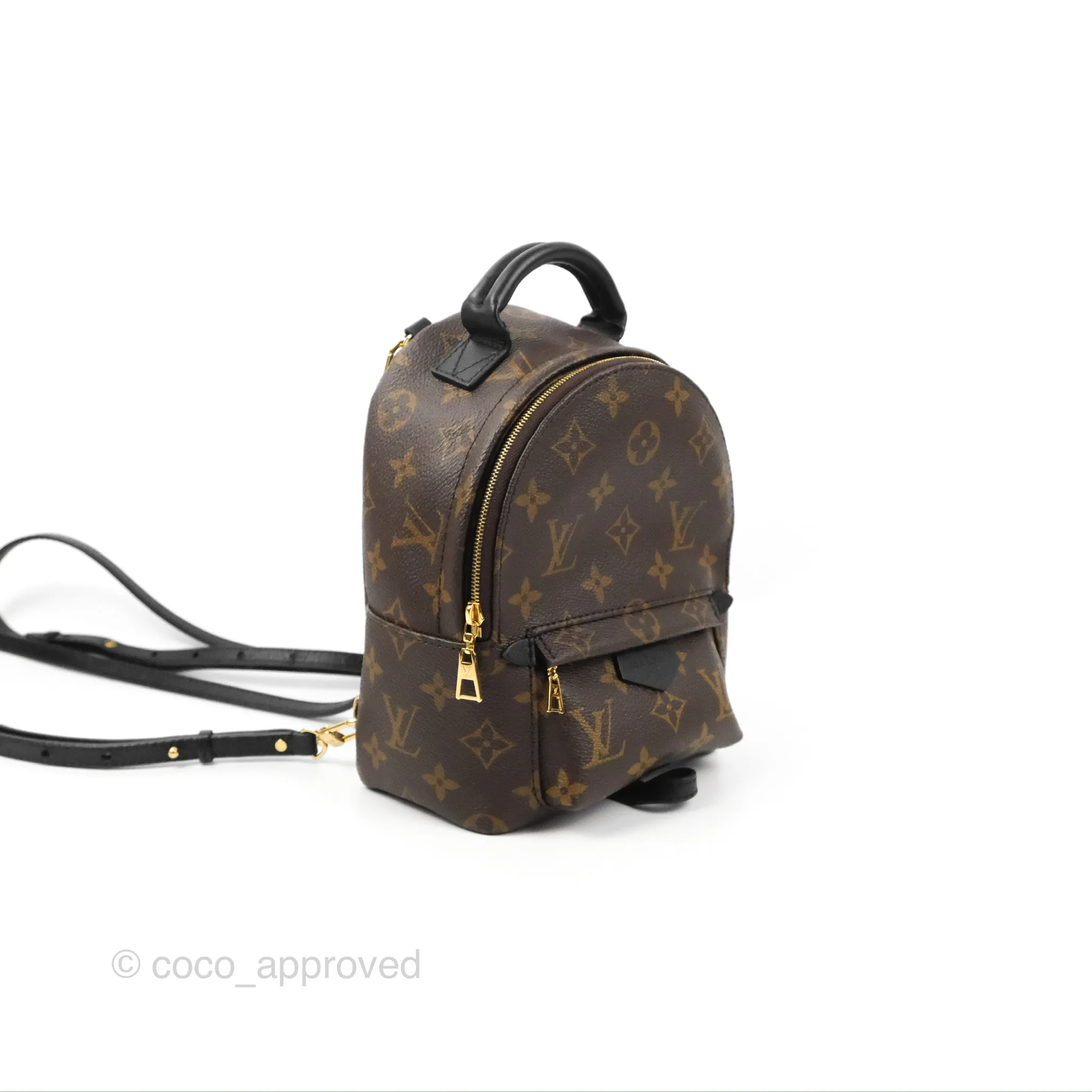 Louis Vuitton Monogram Mini Palm Springs Backpack