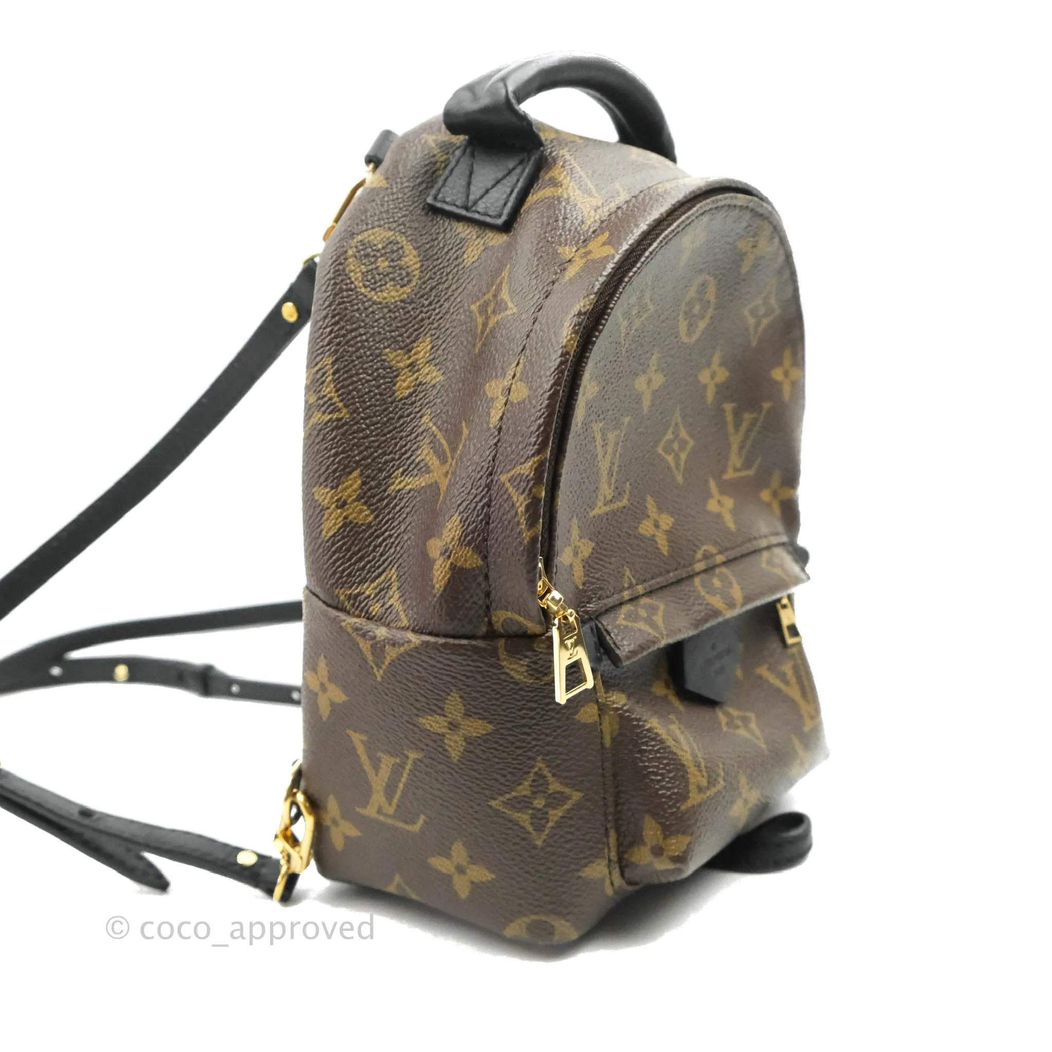 Louis Vuitton Monogram Mini Palm Springs Backpack