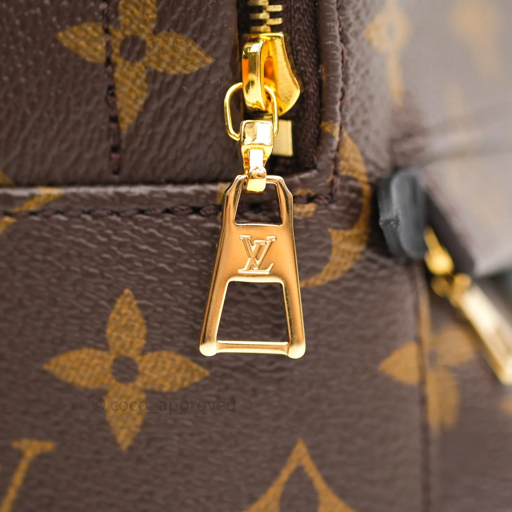 Louis Vuitton Monogram Mini Palm Springs Backpack