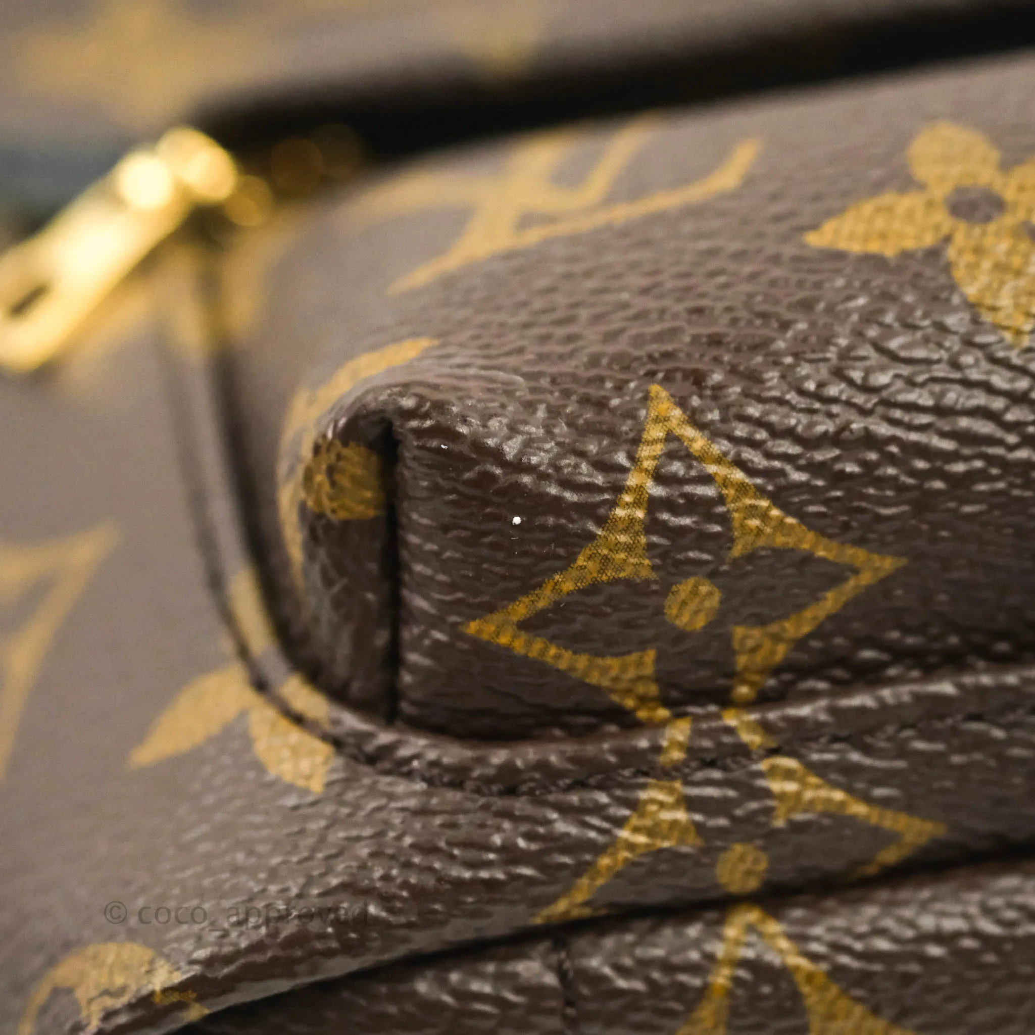 Louis Vuitton Monogram Mini Palm Springs Backpack