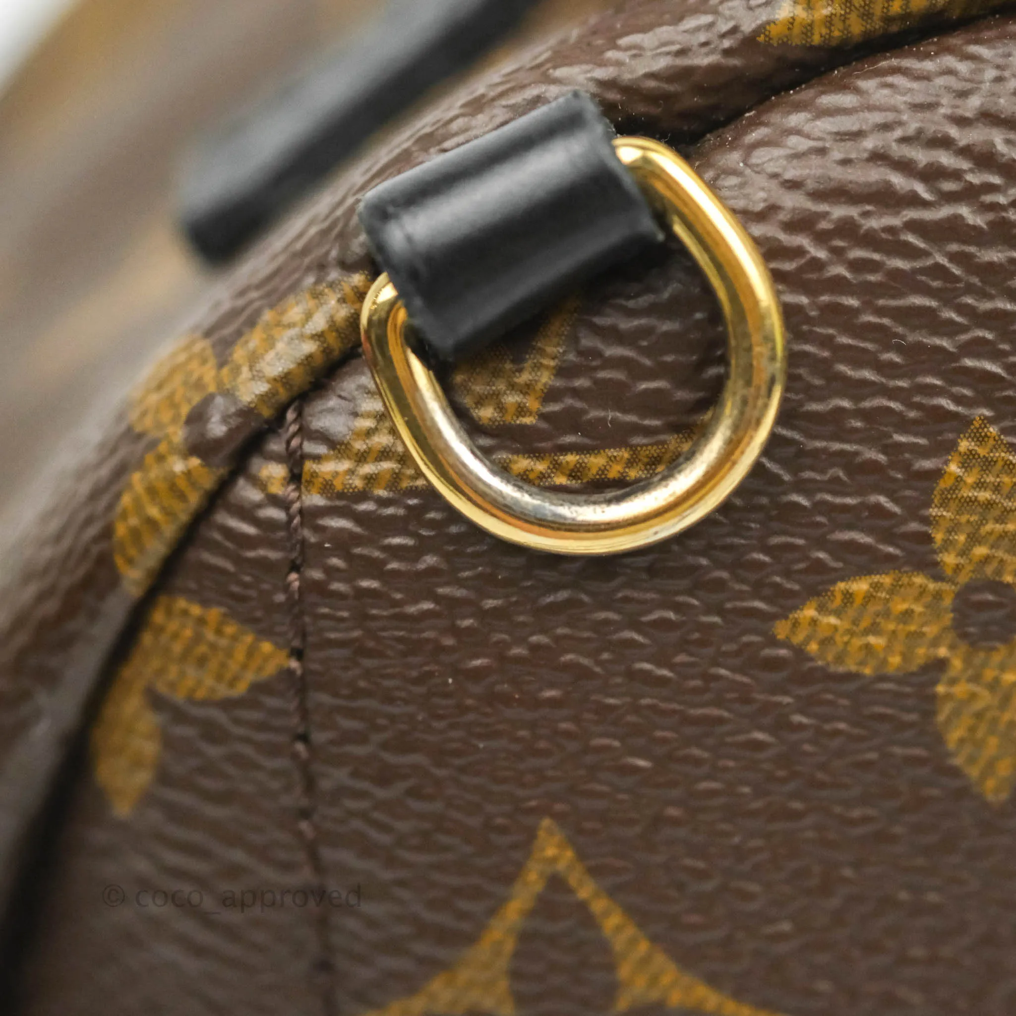 Louis Vuitton Monogram Mini Palm Springs Backpack