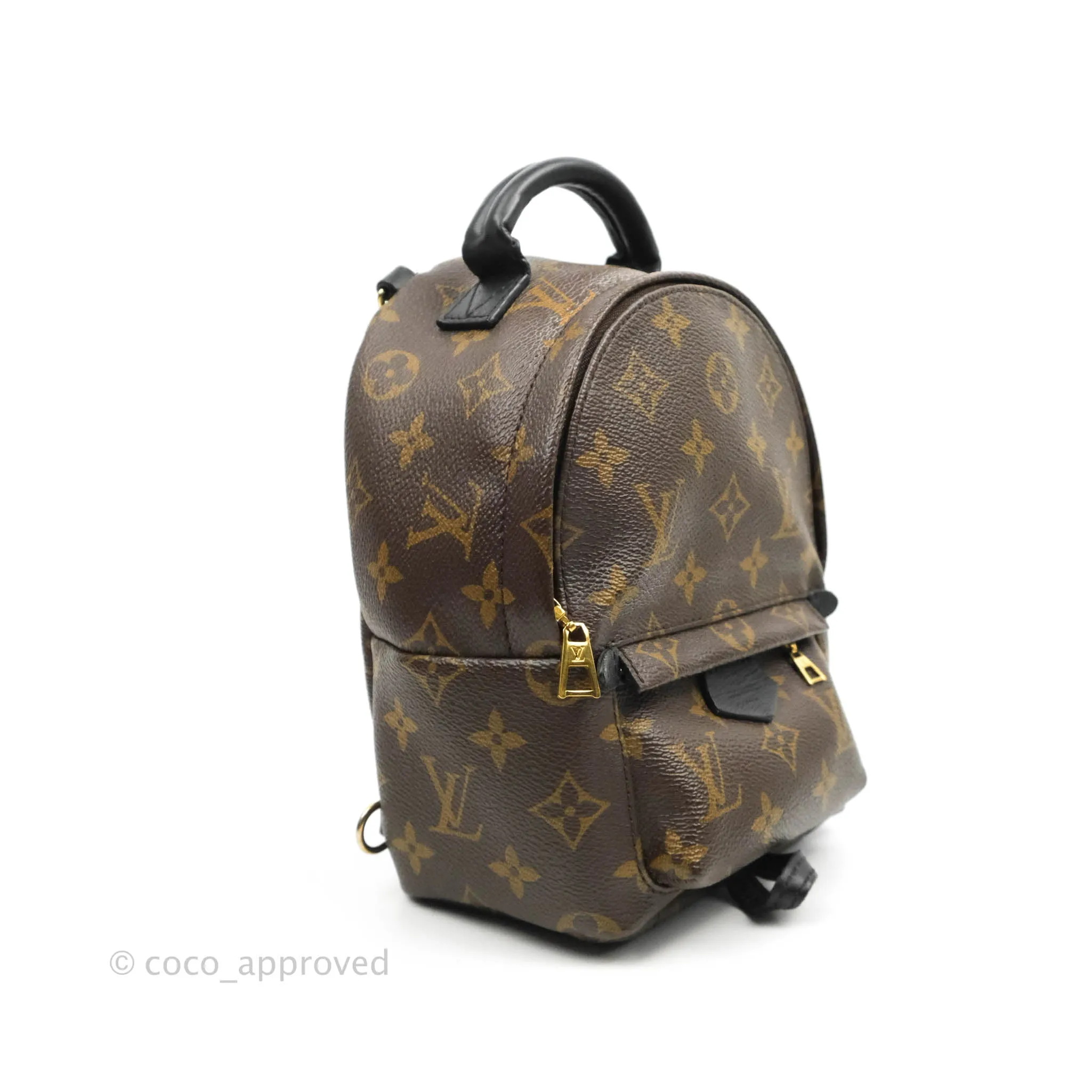 Louis Vuitton Monogram Mini Palm Springs Backpack