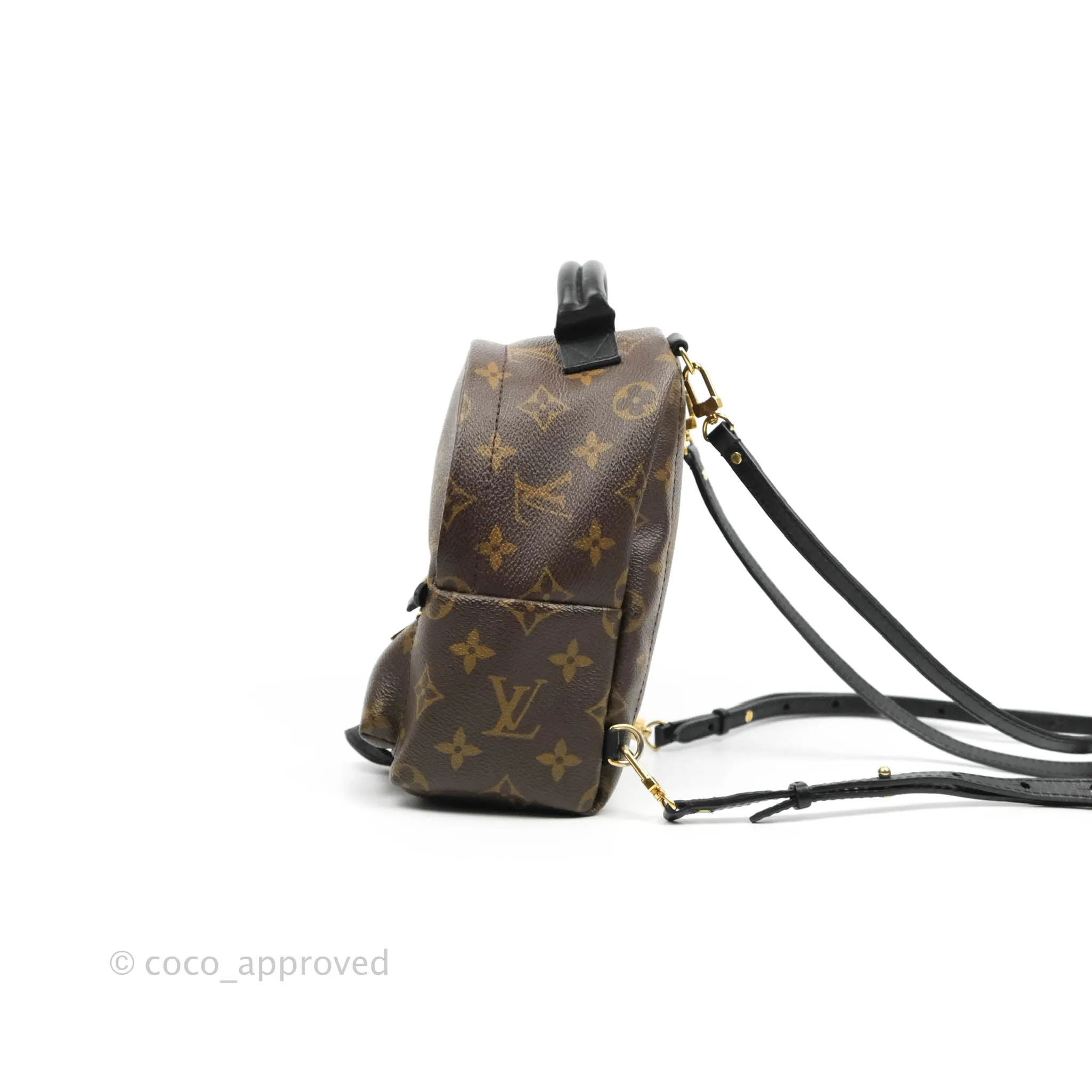 Louis Vuitton Monogram Mini Palm Springs Backpack