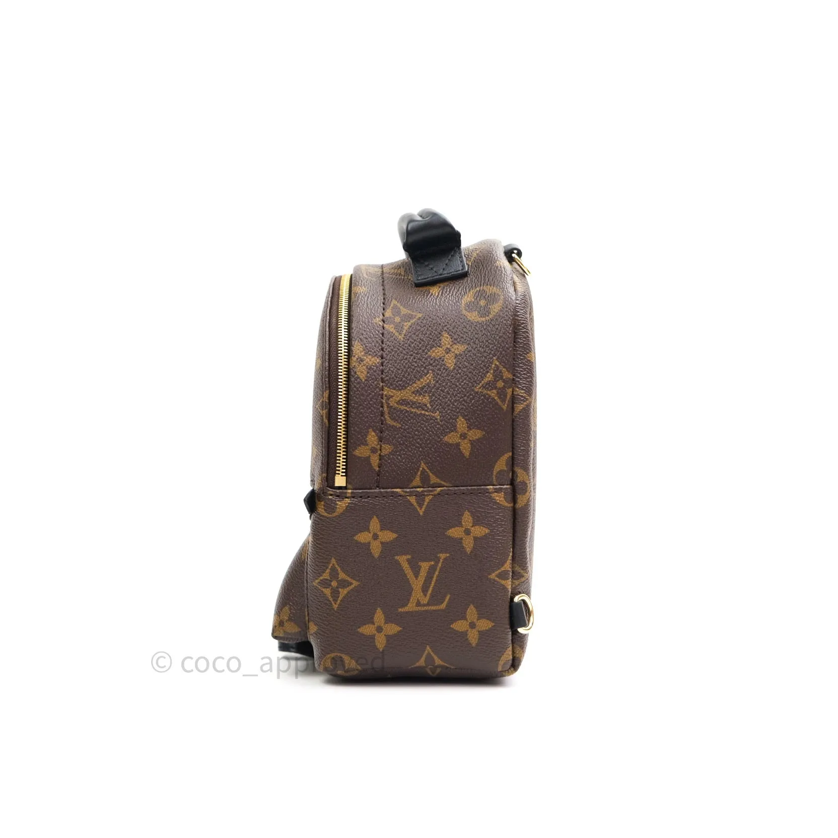 Louis Vuitton Monogram Mini Palm Springs Backpack