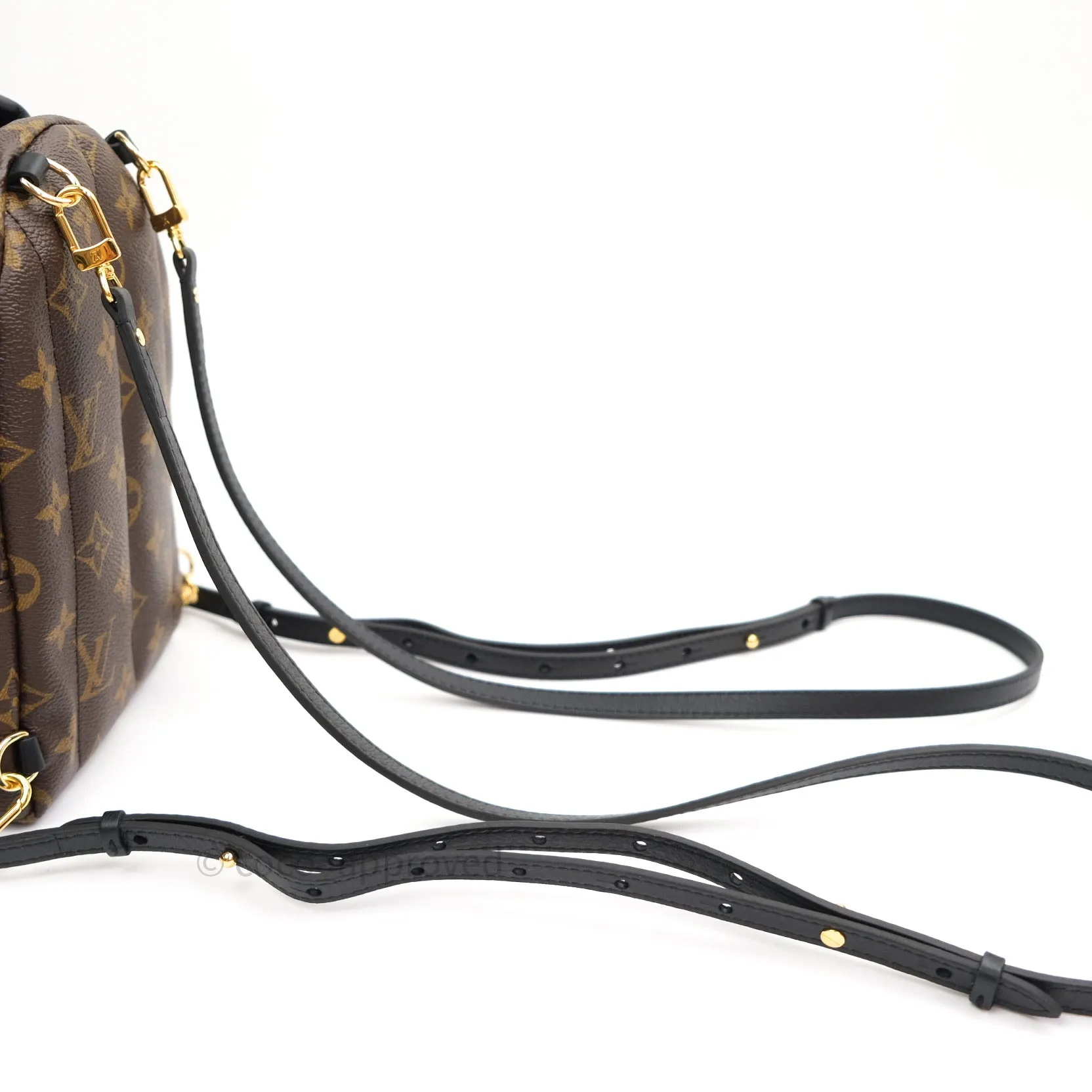 Louis Vuitton Monogram Mini Palm Springs Backpack