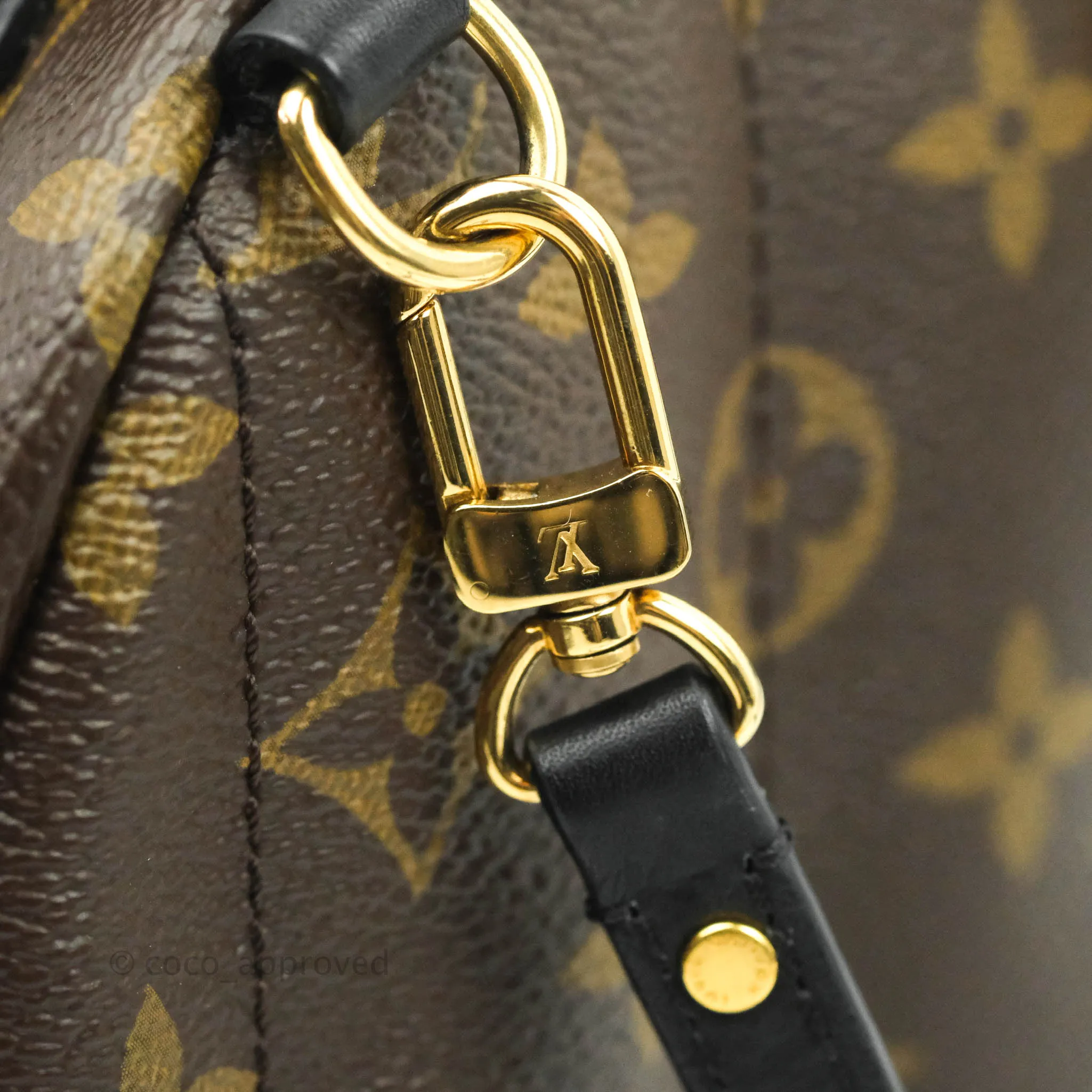 Louis Vuitton Monogram Mini Palm Springs Backpack