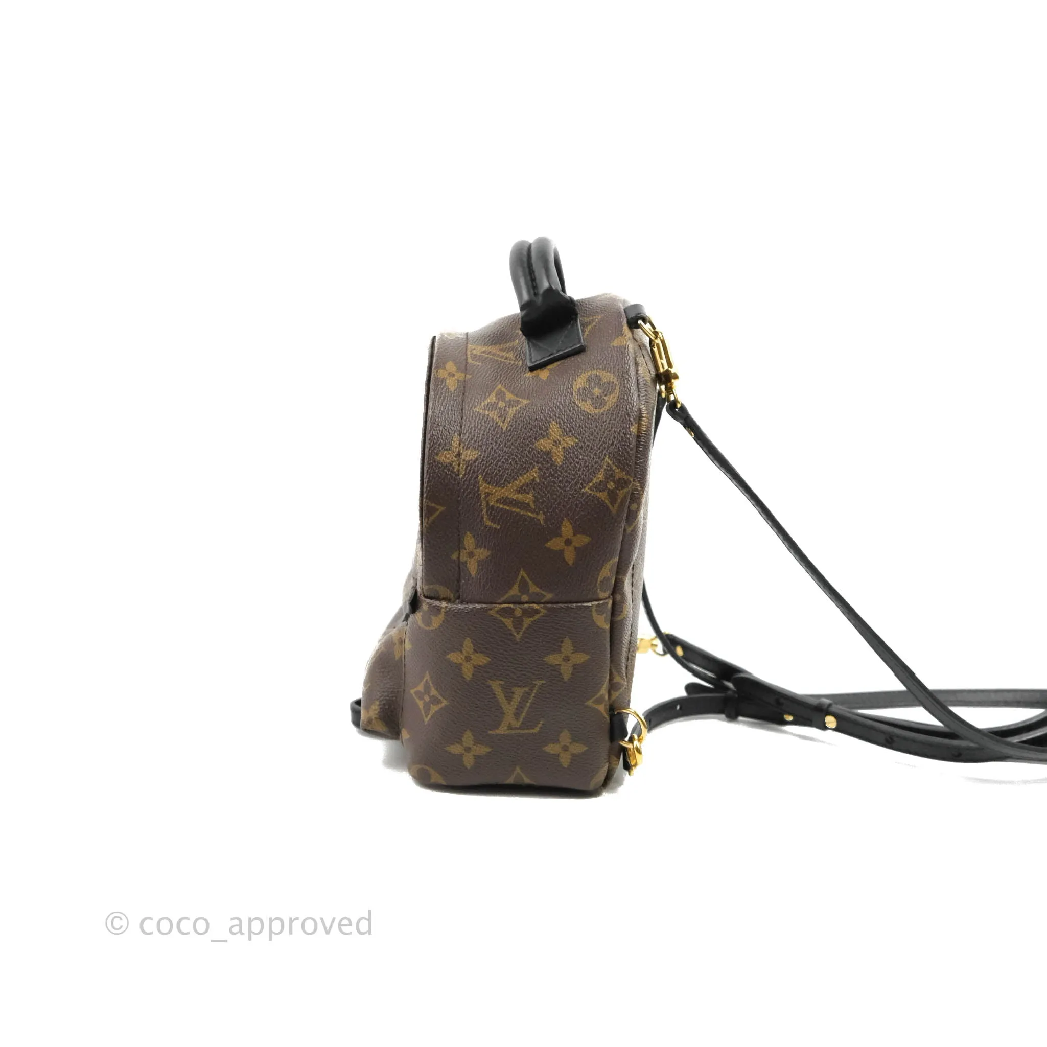 Louis Vuitton Monogram Mini Palm Springs Backpack