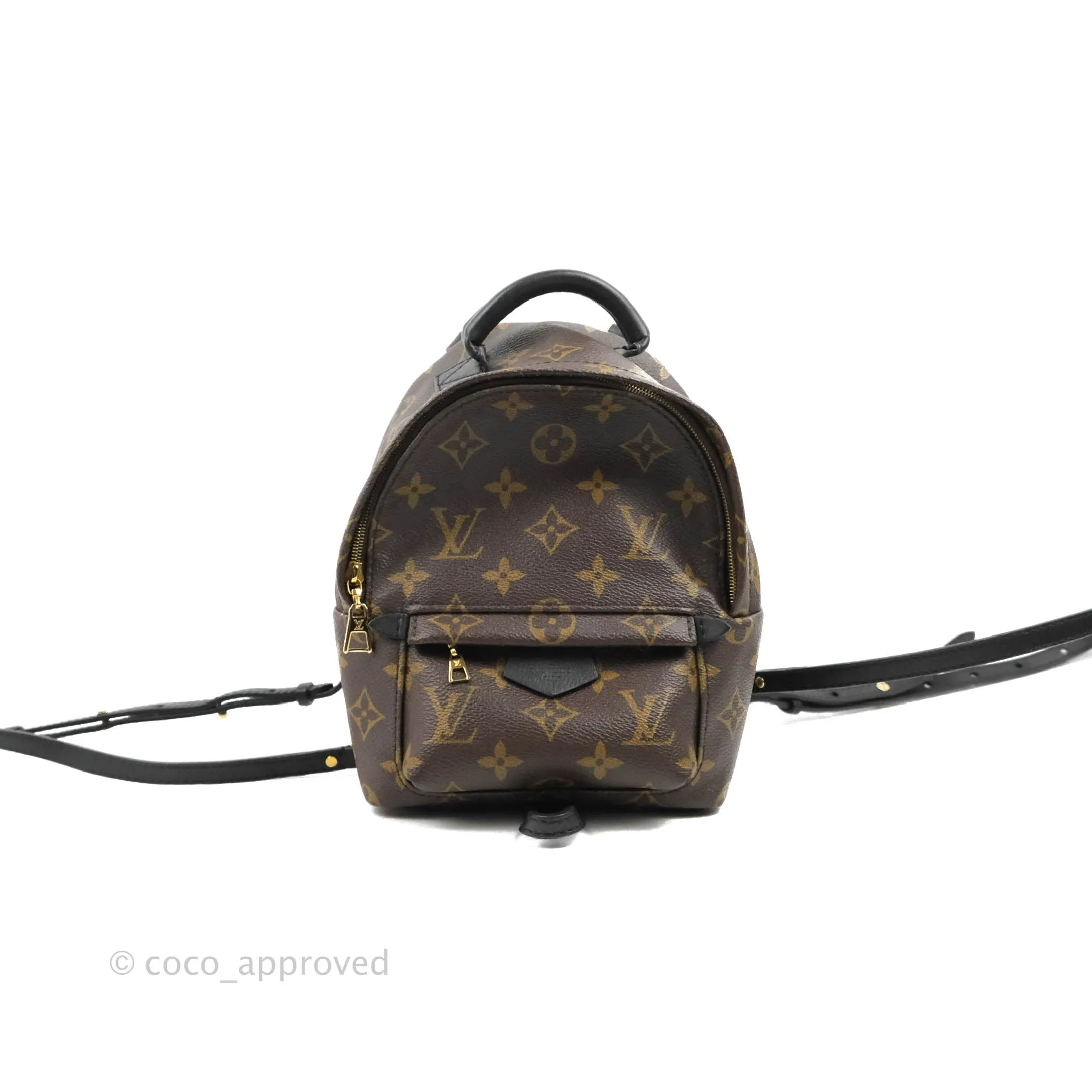 Louis Vuitton Monogram Mini Palm Springs Backpack