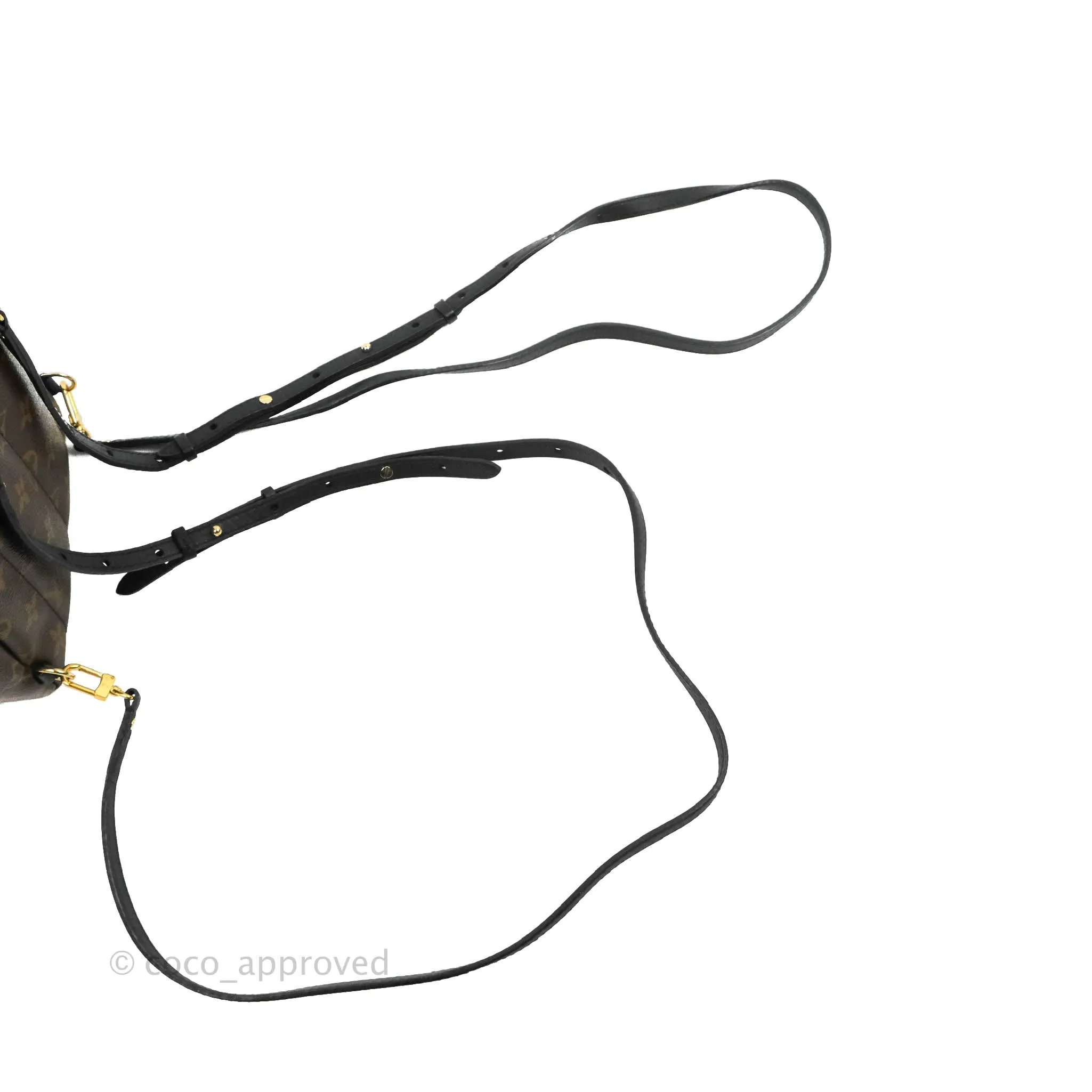 Louis Vuitton Monogram Mini Palm Springs Backpack
