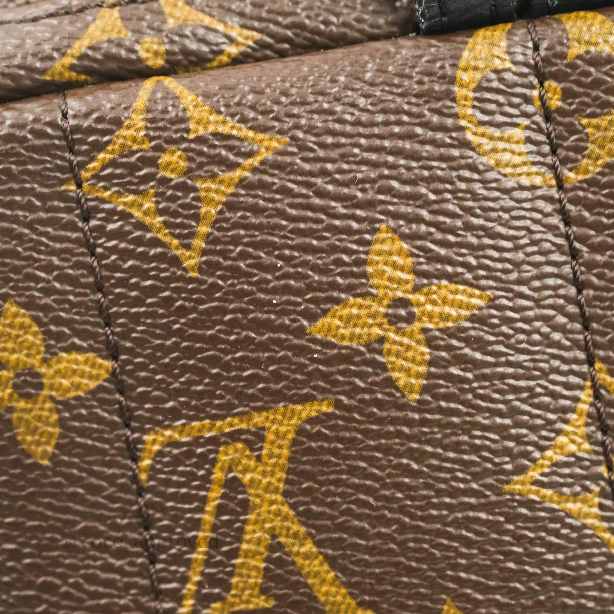 Louis Vuitton Monogram Mini Palm Springs Backpack