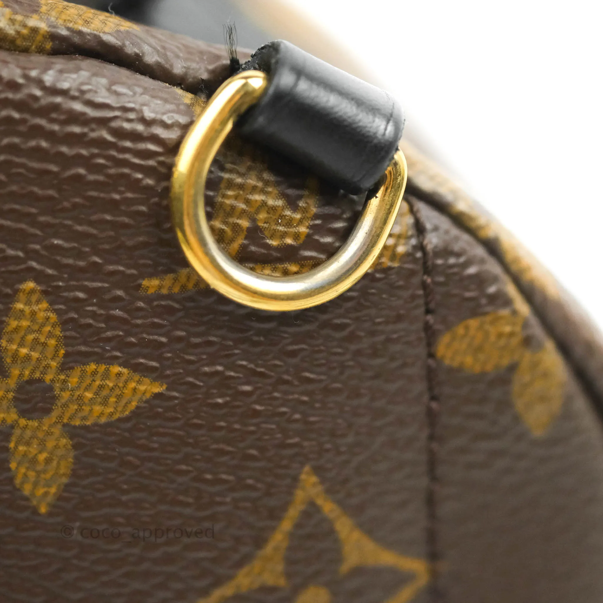 Louis Vuitton Monogram Mini Palm Springs Backpack