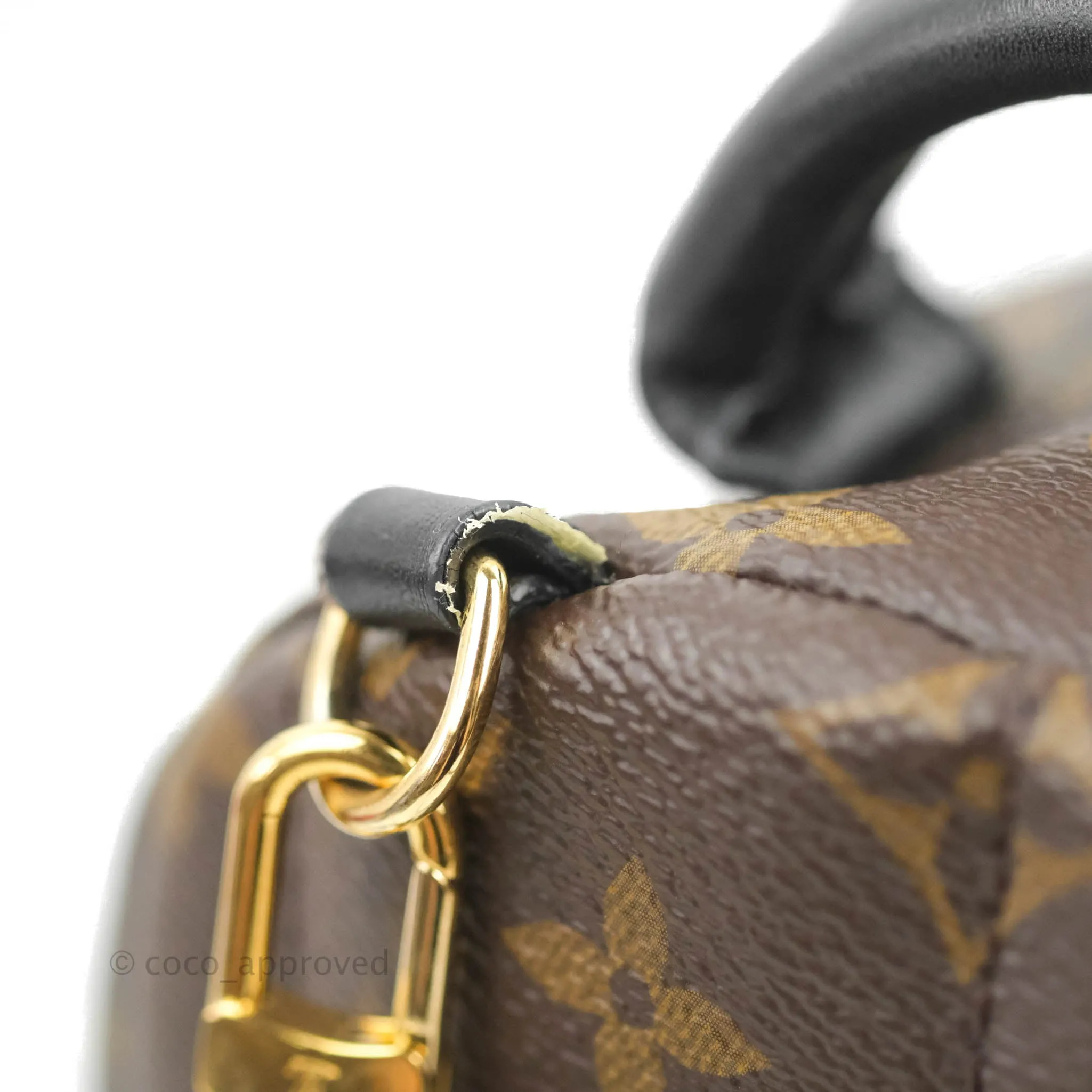 Louis Vuitton Monogram Mini Palm Springs Backpack