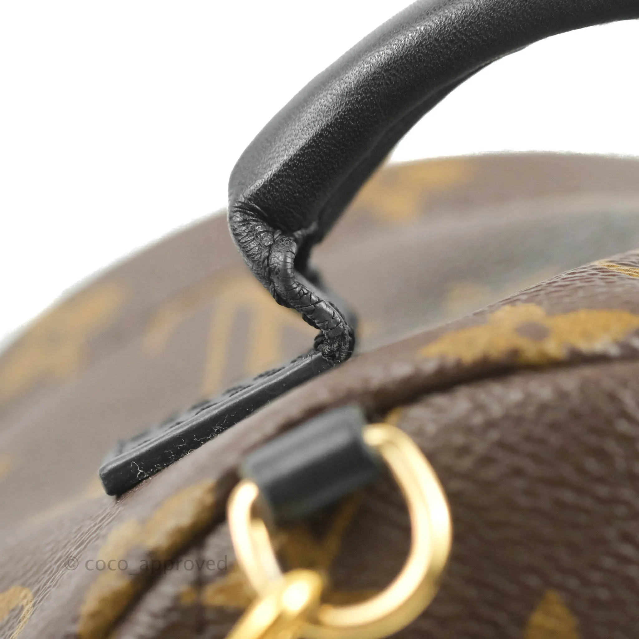Louis Vuitton Monogram Mini Palm Springs Backpack